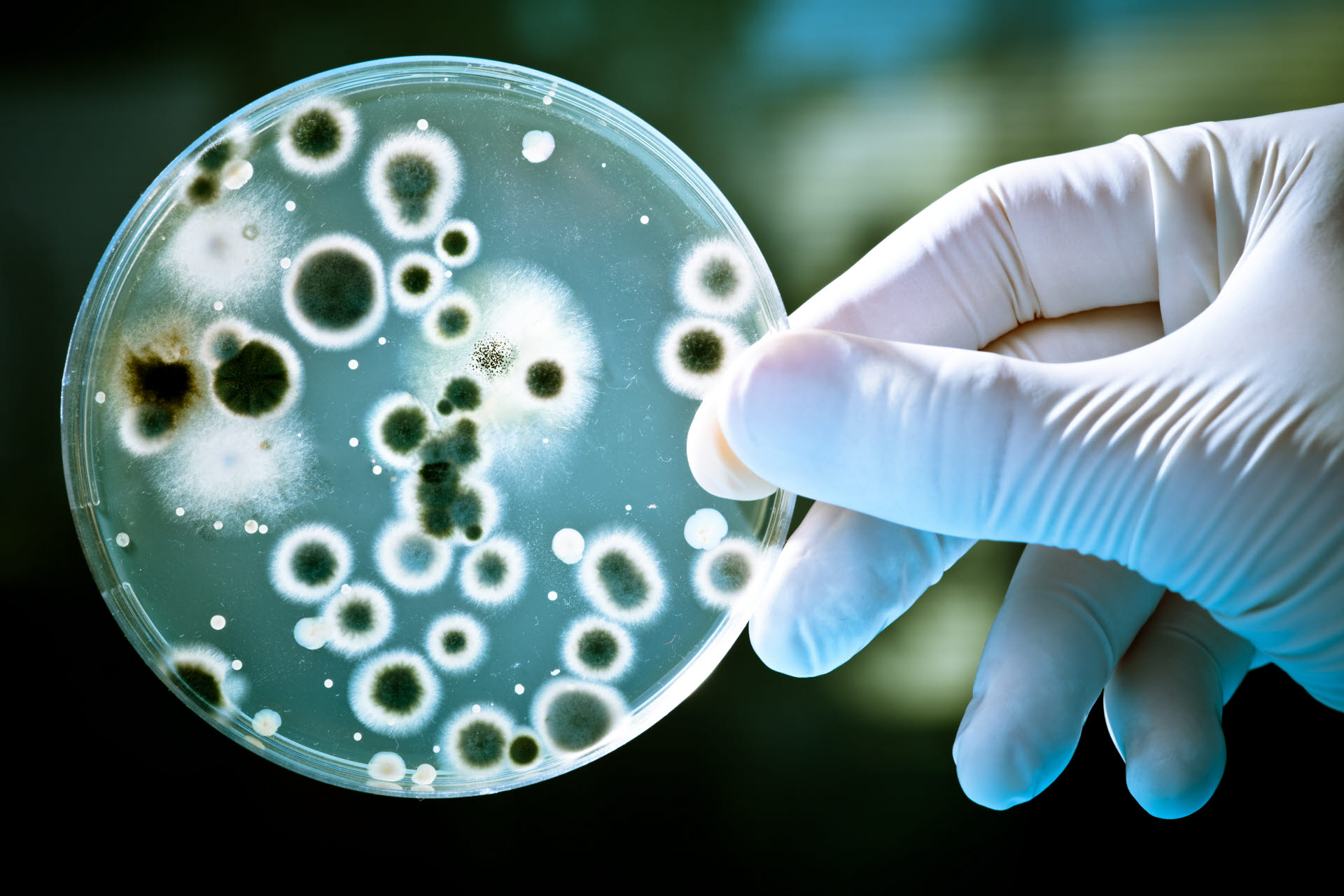 Δημιουργήθηκε άτλαντας με τα πιο κοινά βακτήρια – κλειδιά