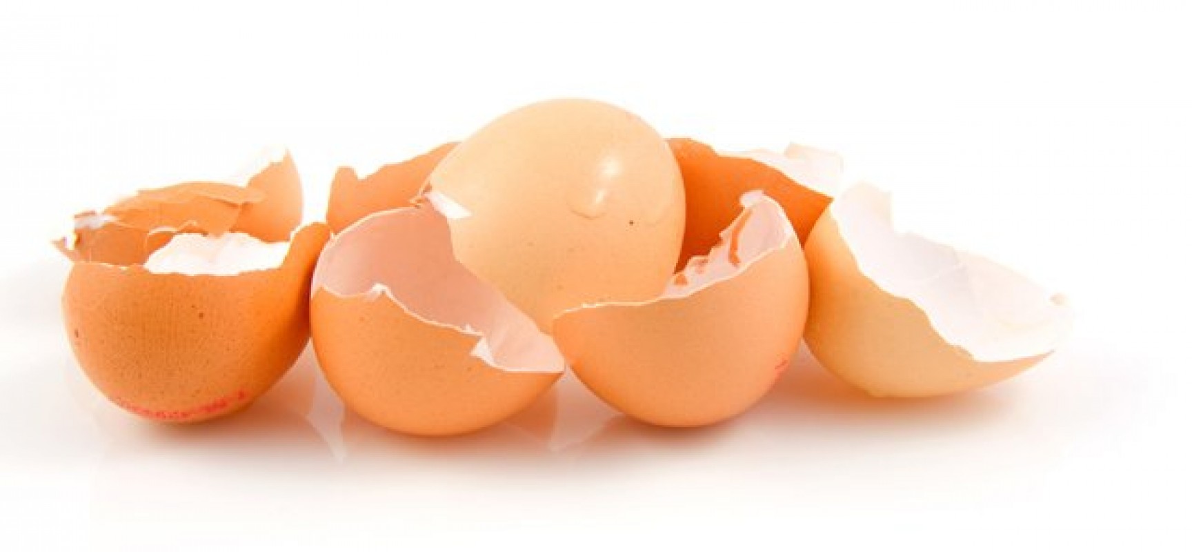 Μην πετάτε τα τσόφλια του αυγού, γιατί…