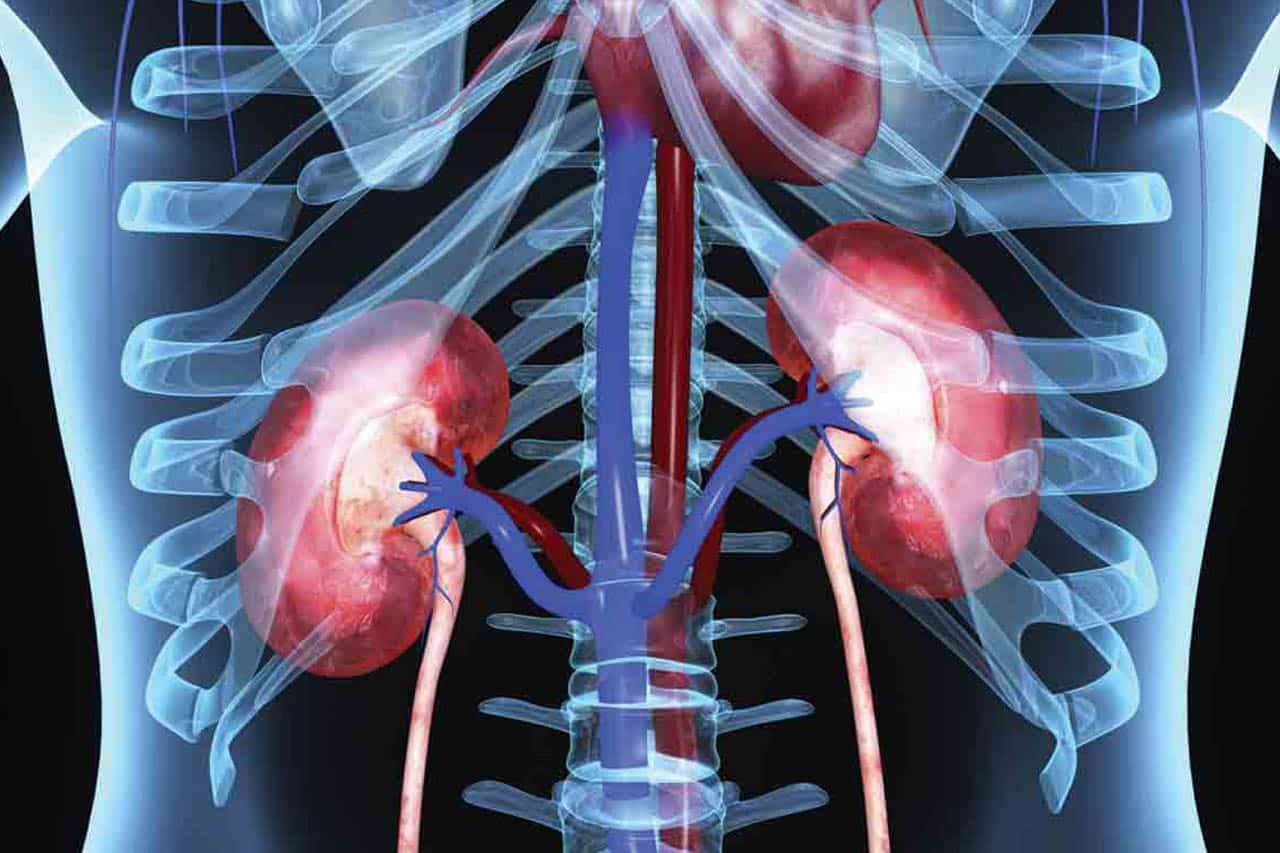 Πως θα εντοπίσετε πιθανό πρόβλημα στα νεφρά σας (βίντεο)