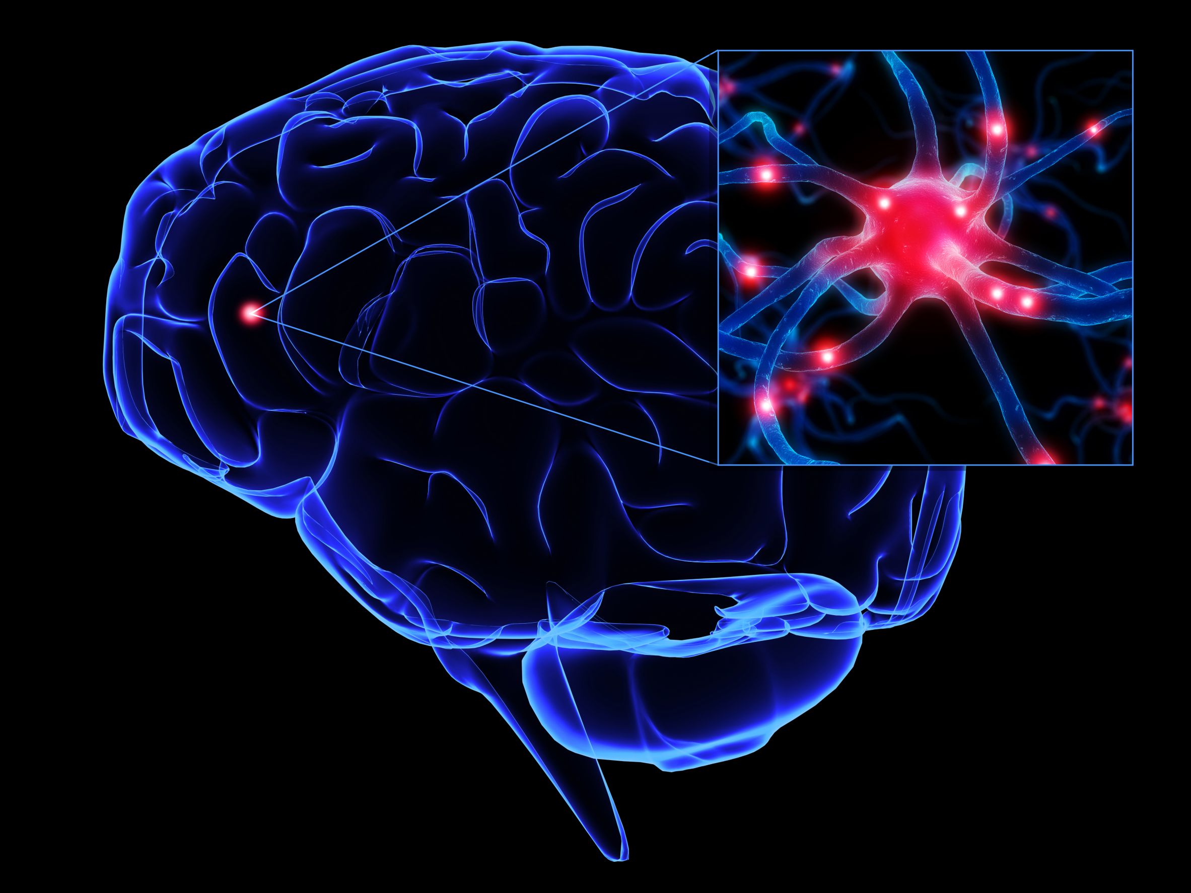 Η διαφορετική εξέλιξη των νευρώνων στα άτομα με αυτισμό