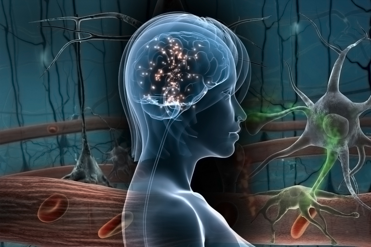 Ο εγκέφαλος παράγει νέους νευρώνες και στην τρίτη ηλικία