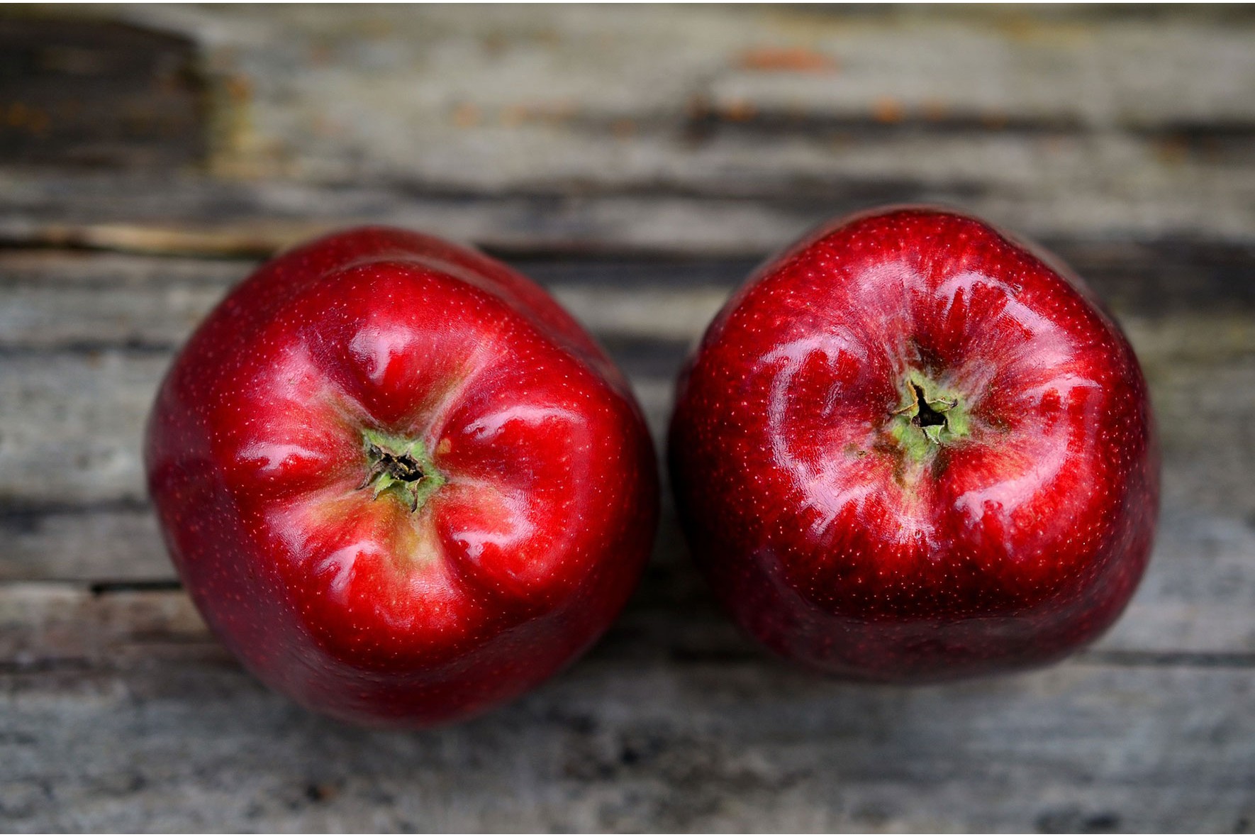 Πέντε λόγοι να τρώτε καθημερινά μήλα