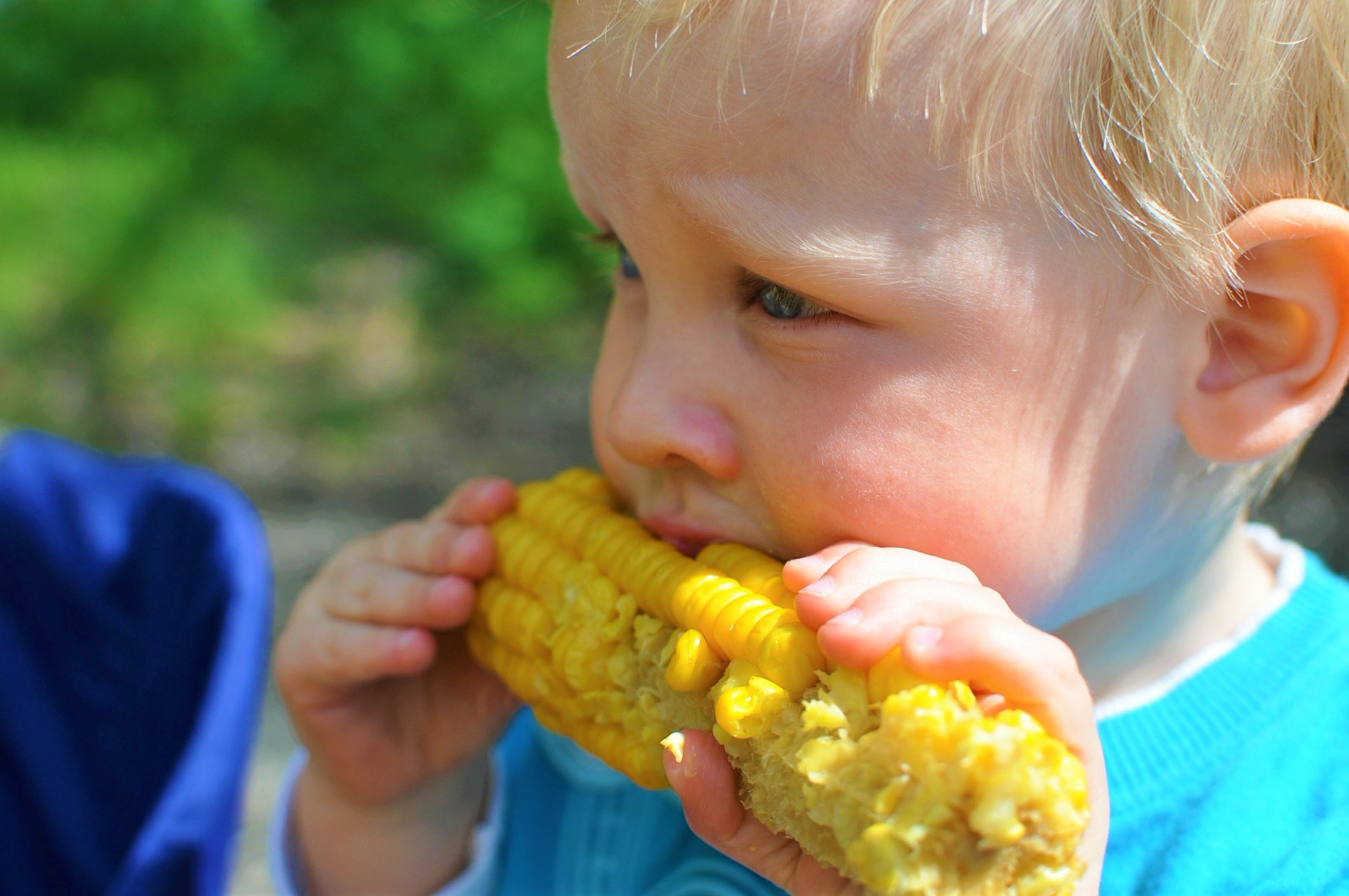 Παιδική χορτοφαγία – Υφίσταται;