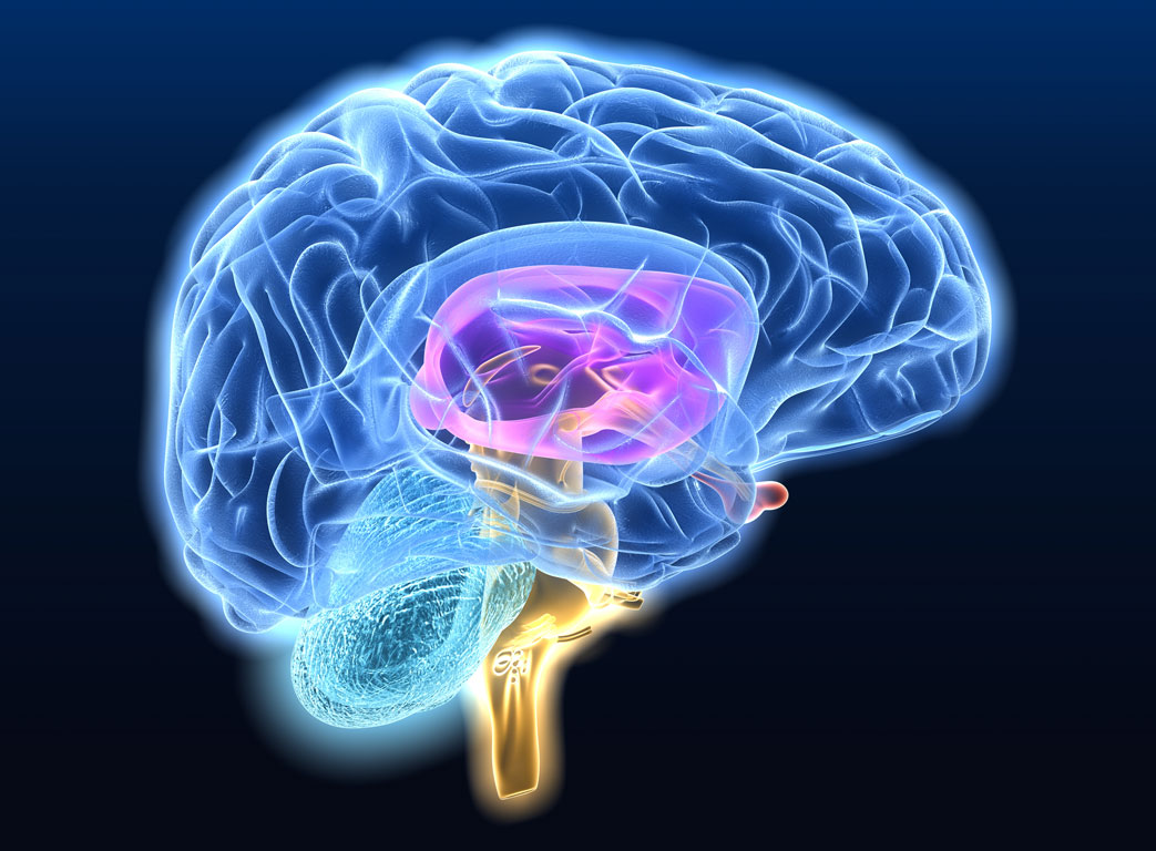 Η χοληστερίνη στον εγκέφαλο καταλύτης για Αλτσχάιμερ