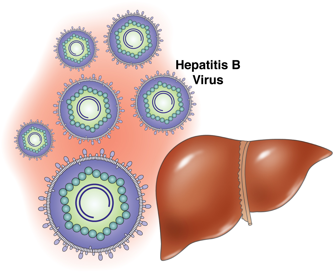 Ο ιός της ηπατίτιδας Β είναι τουλάχιστον 4.500 ετών