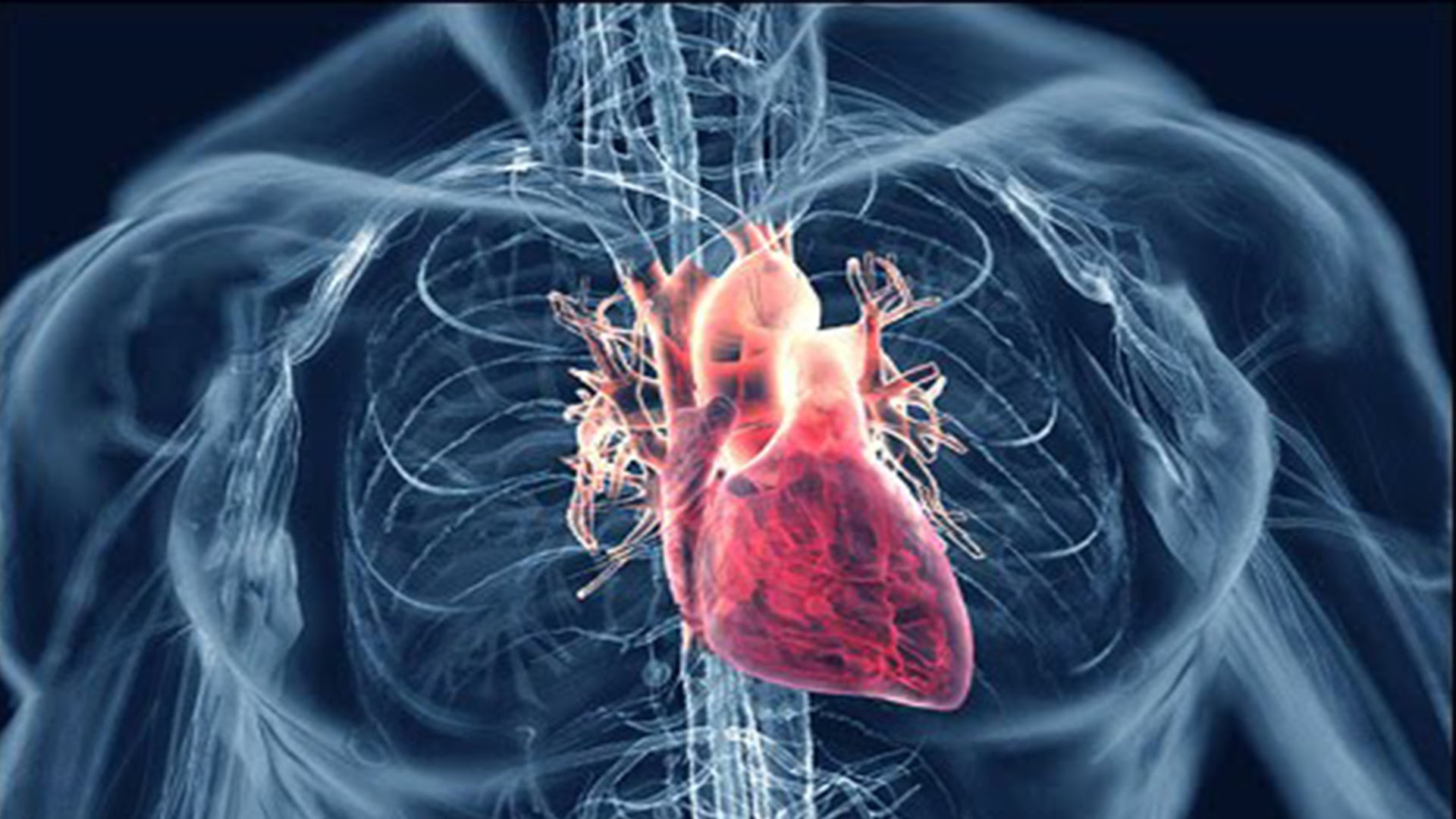 Η σοβαρότητα της καρδιακής νόσου εξαρτάται από τα επίπεδα μονοξειδίου του αζώτου
