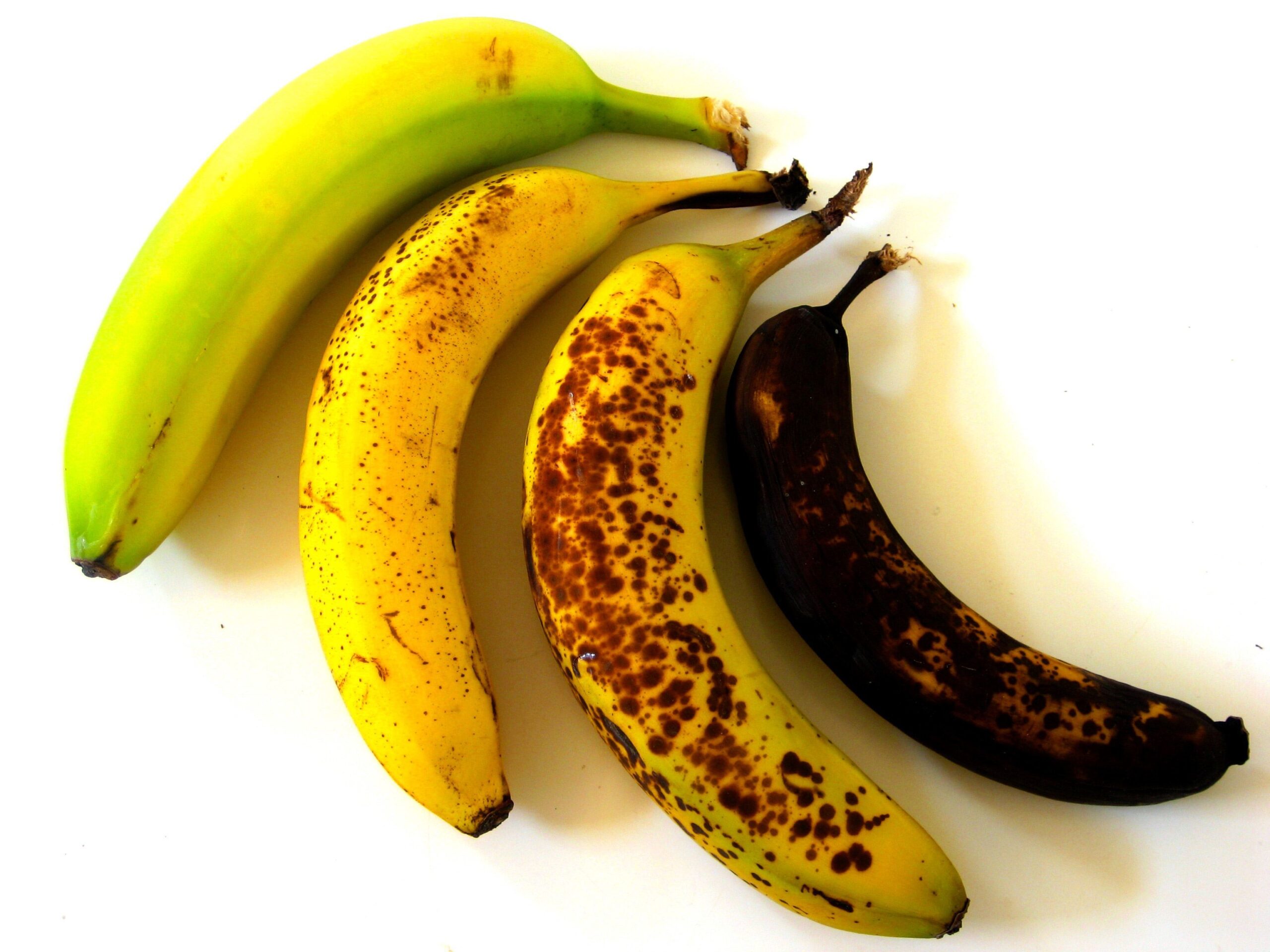 Επιστήμονες τροποποίησαν γενετικά μπανάνες και…