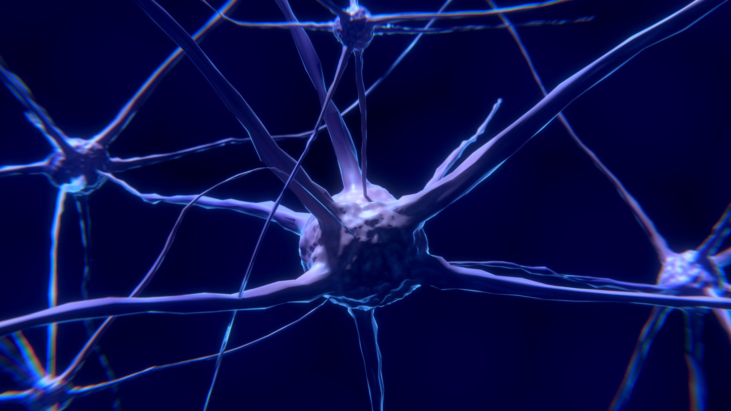 Προσδιορίστηκαν οι νευρώνες επιθετικότητας