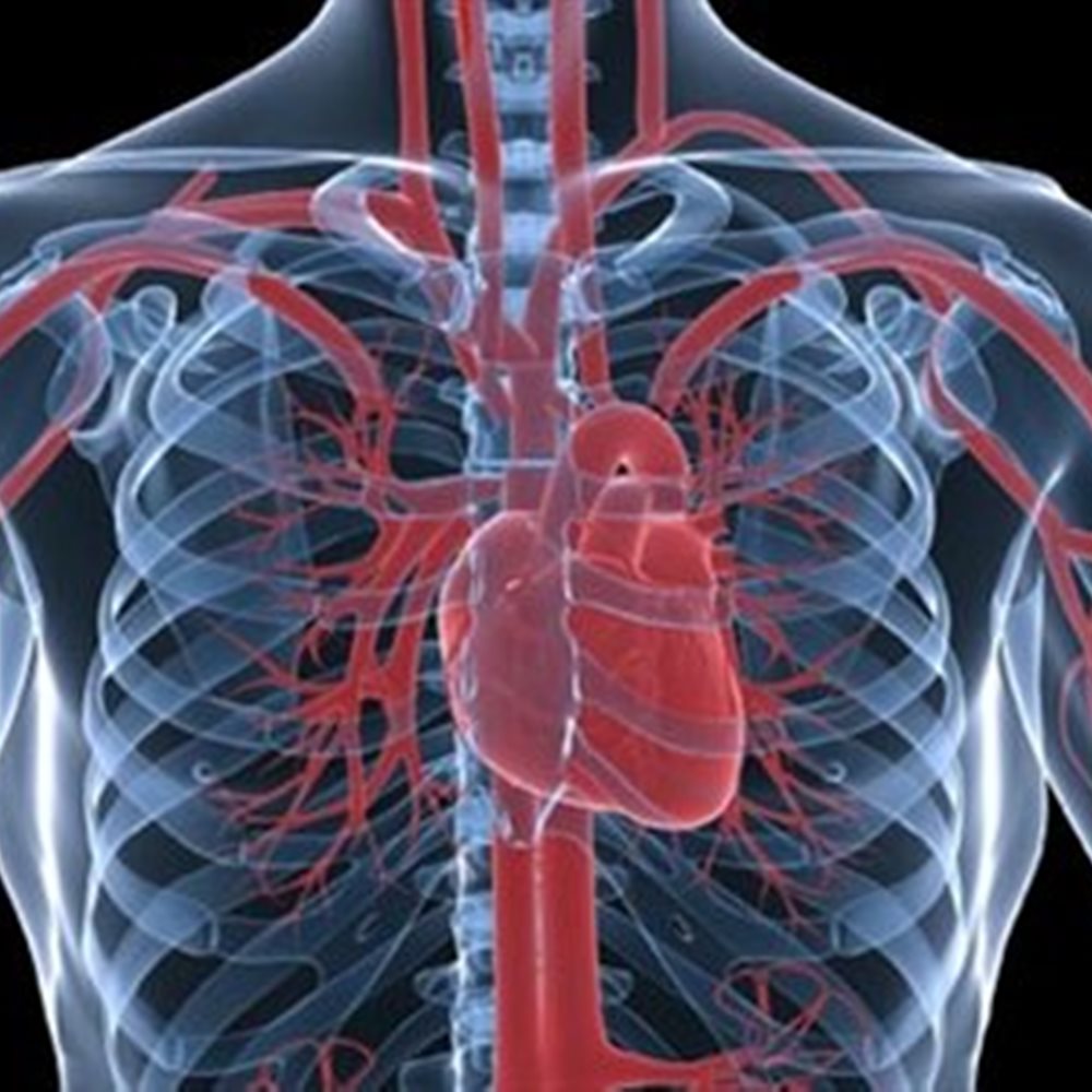 Πως σχετίζεται η αλλεργία με τα καρδιαγγειακά