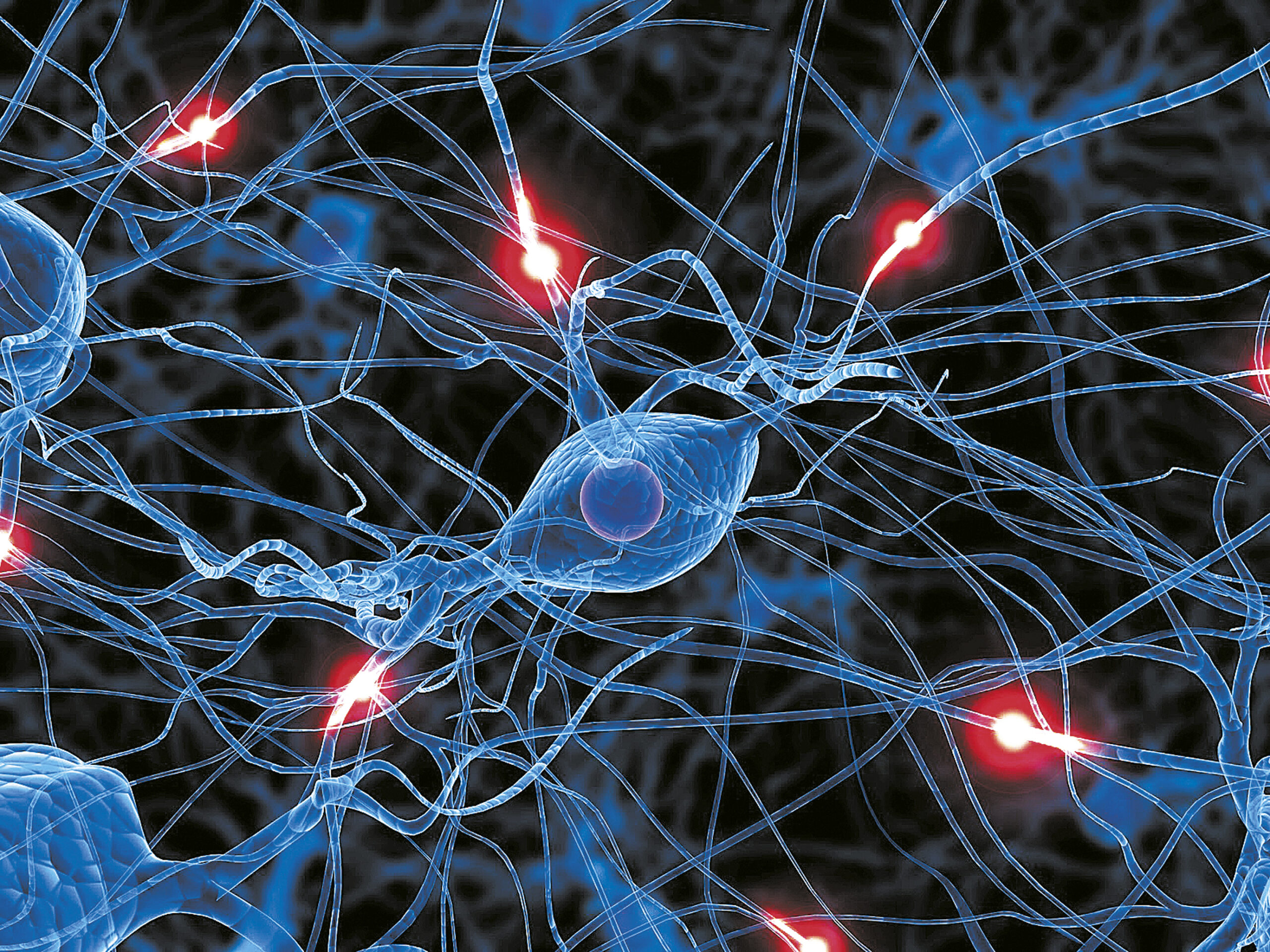 Πως λειτουργούν οι νευρώνες στον εγκέφαλο