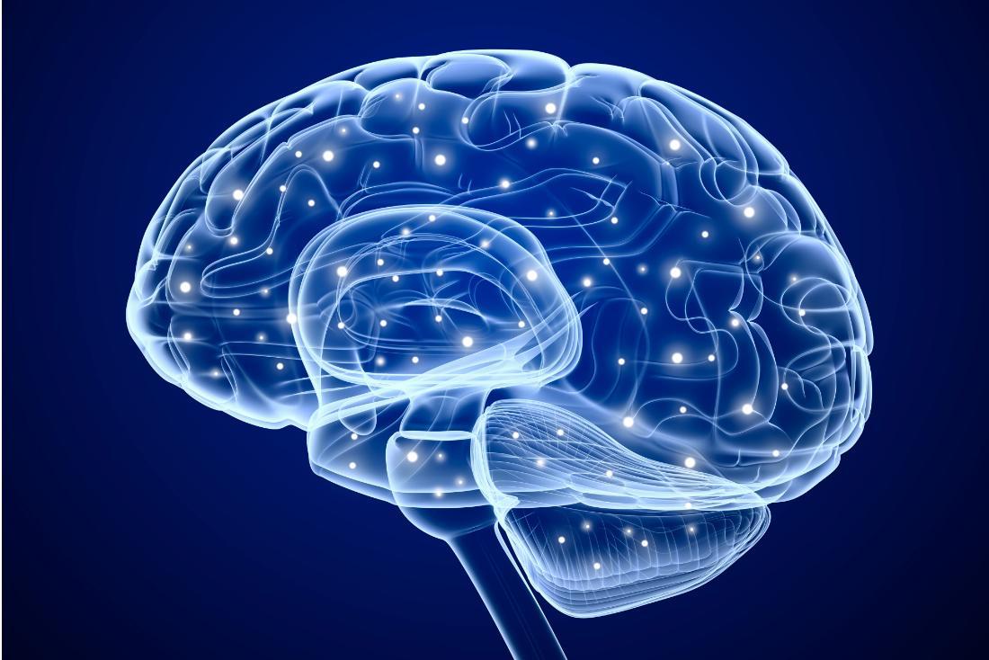 Πως συνδέονται τα κυκλώματα εγκεφάλου με την κατανάλωση αλκοόλ