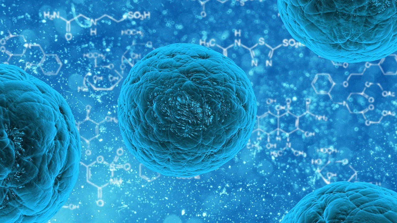 “Ξεκλείδωμα” των μυστικών της κυτταρικής διαίρεσης στον καρκίνο