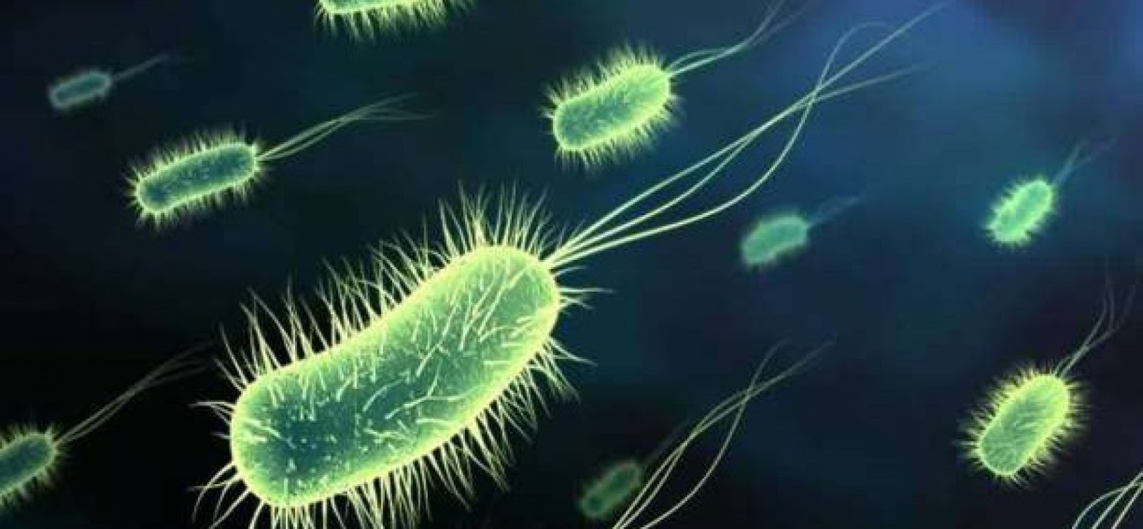 Πού συχνάζουν τα περισσότερα μικρόβια;