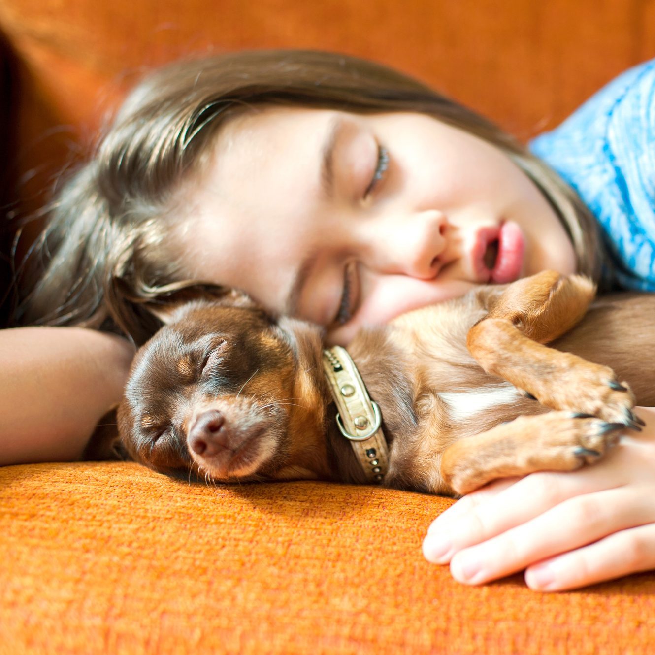Ύπνος με τον σκύλο σας και οφέλη