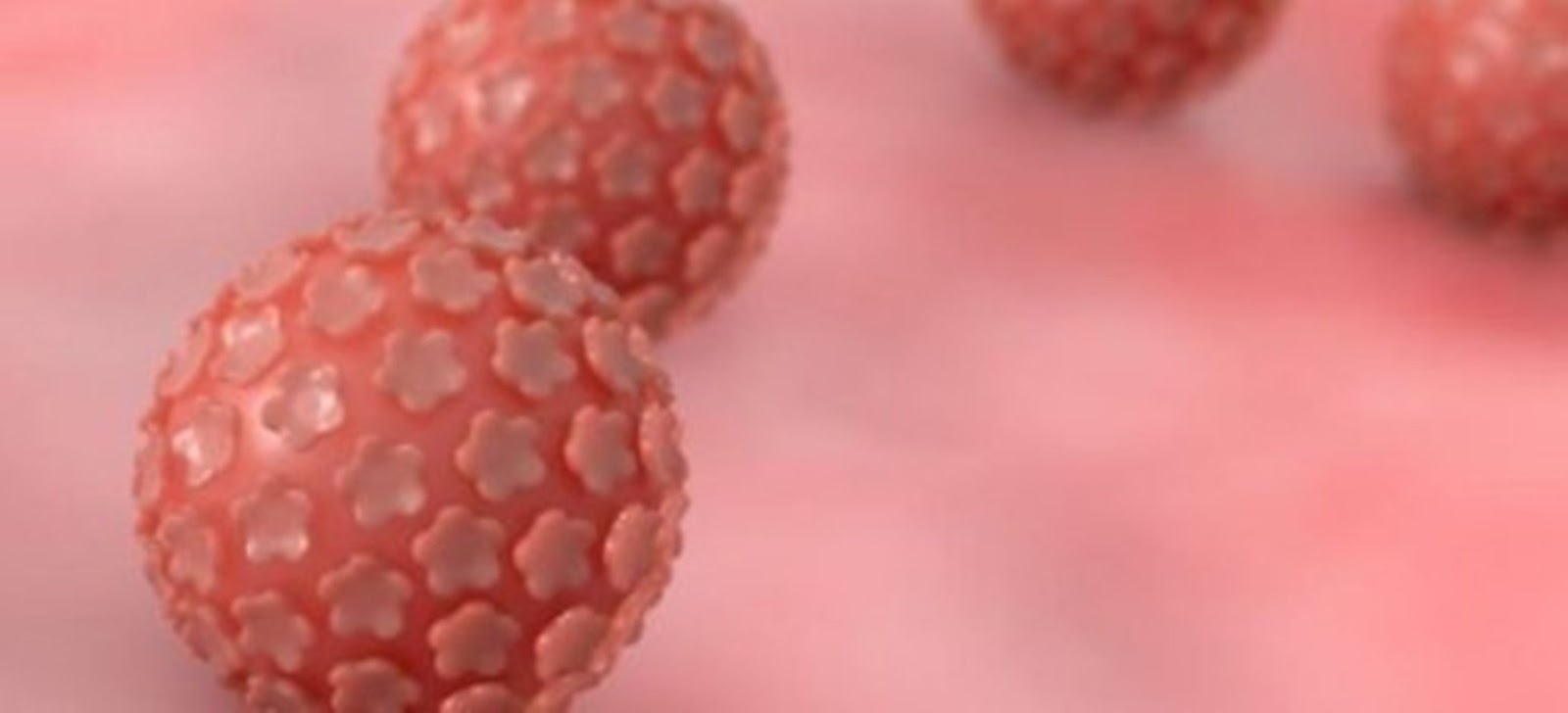 Ιός HPV και Κονδυλώματα: μύθοι και αλήθειες