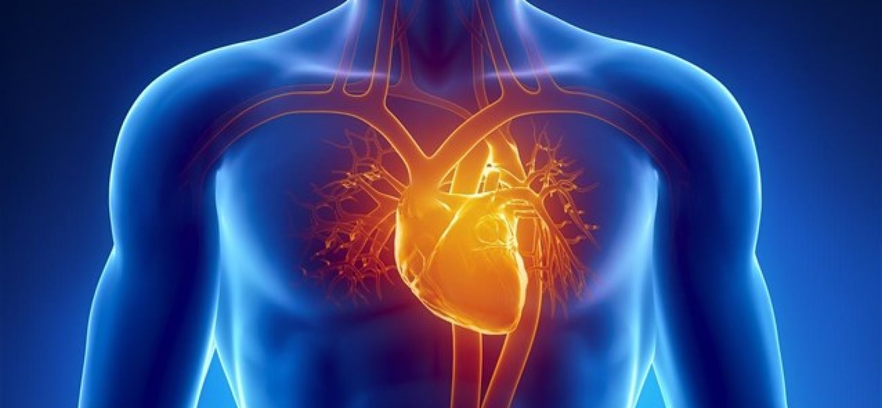 Έρευνα για την προστασία της καρδιάς μετά από έμφραγμα