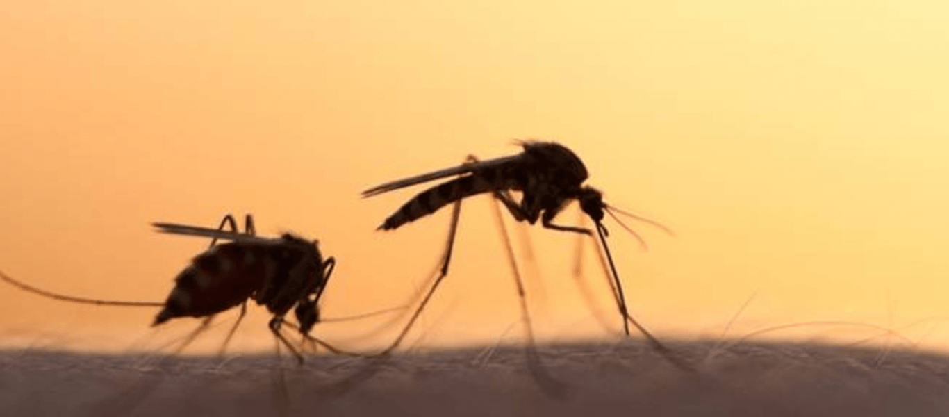 Το μυστήριο της ελονοσίας στο νησί Λομπόκ στην Ινδονησία
