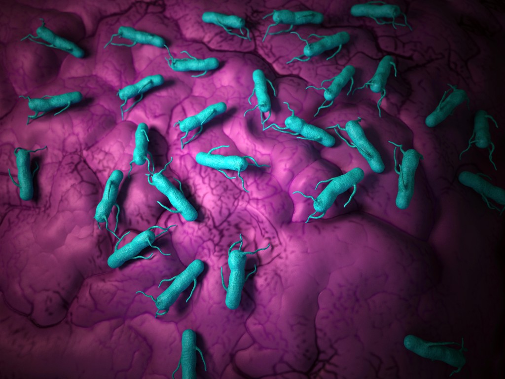 Η ανθεκτικότητα στα αντιβιοτικά βακτήρια αυξάνει τη θνησιμότητα