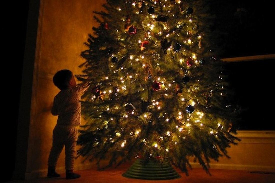 Τι κρύβεται πίσω από ένα φυσικό χριστουγεννιάτικο δέντρο;