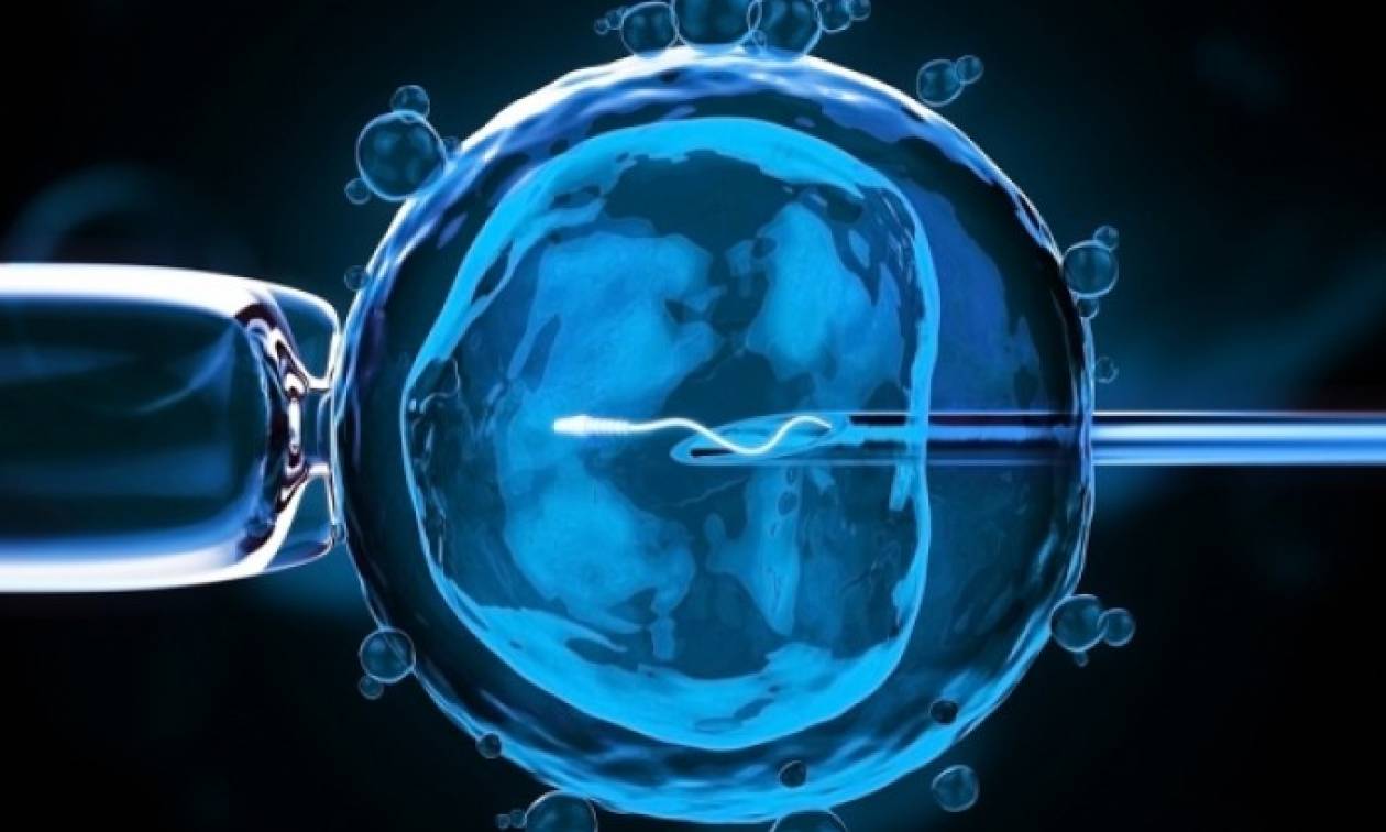 Νέα επιστημονικά δεδομένα για την εξωσωματική γονιμοποίηση