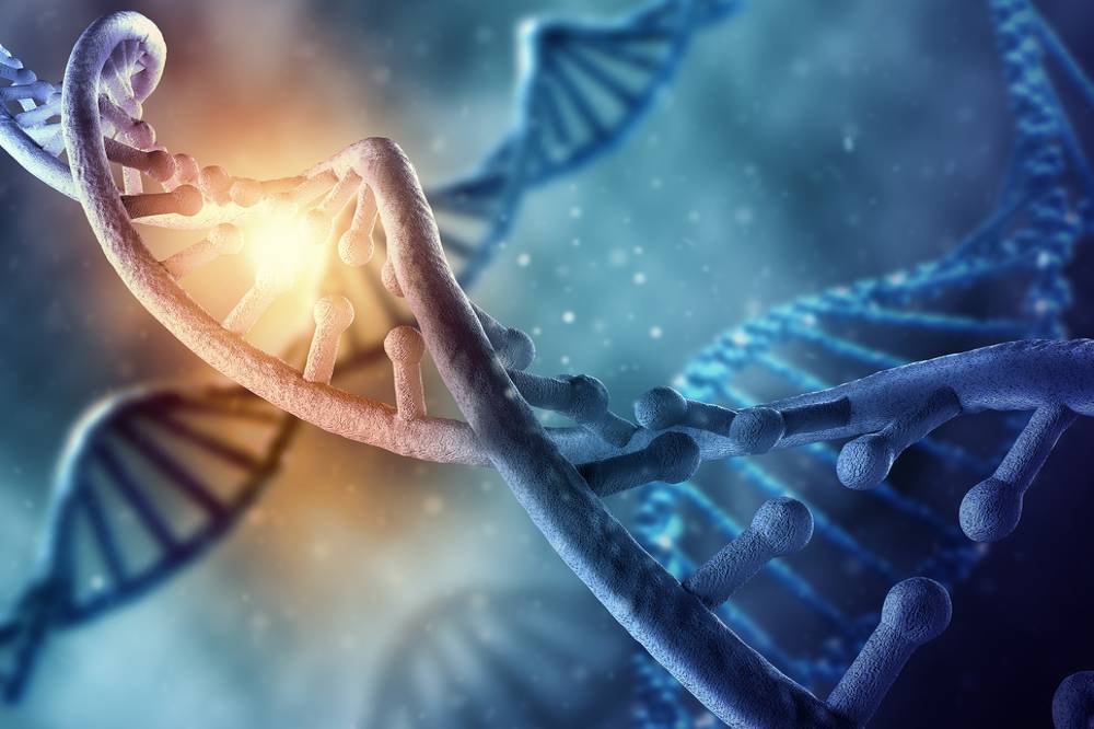 Το DNA αποφασίζει για το βάρος μας;