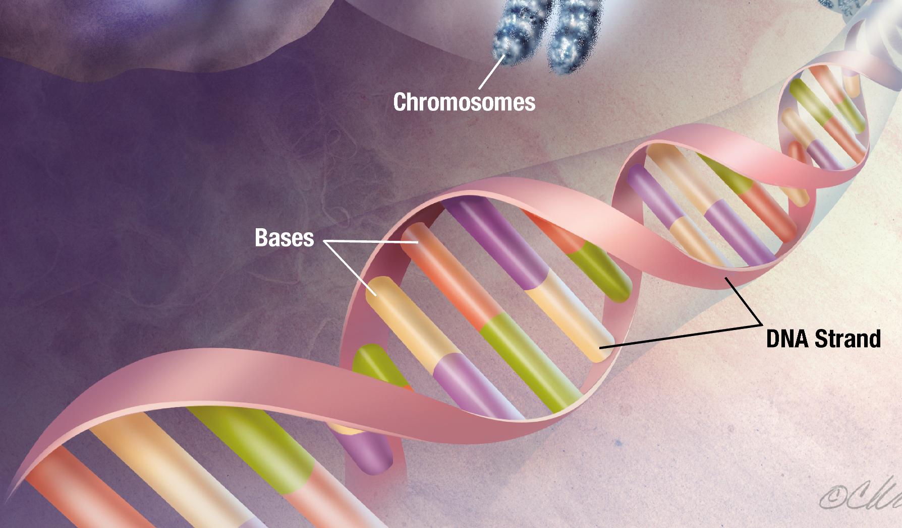 Μακροζωία γονιδίωμα: Ποιο είναι το κοινό χαρακτηριστικό όσων ζουν πολύ