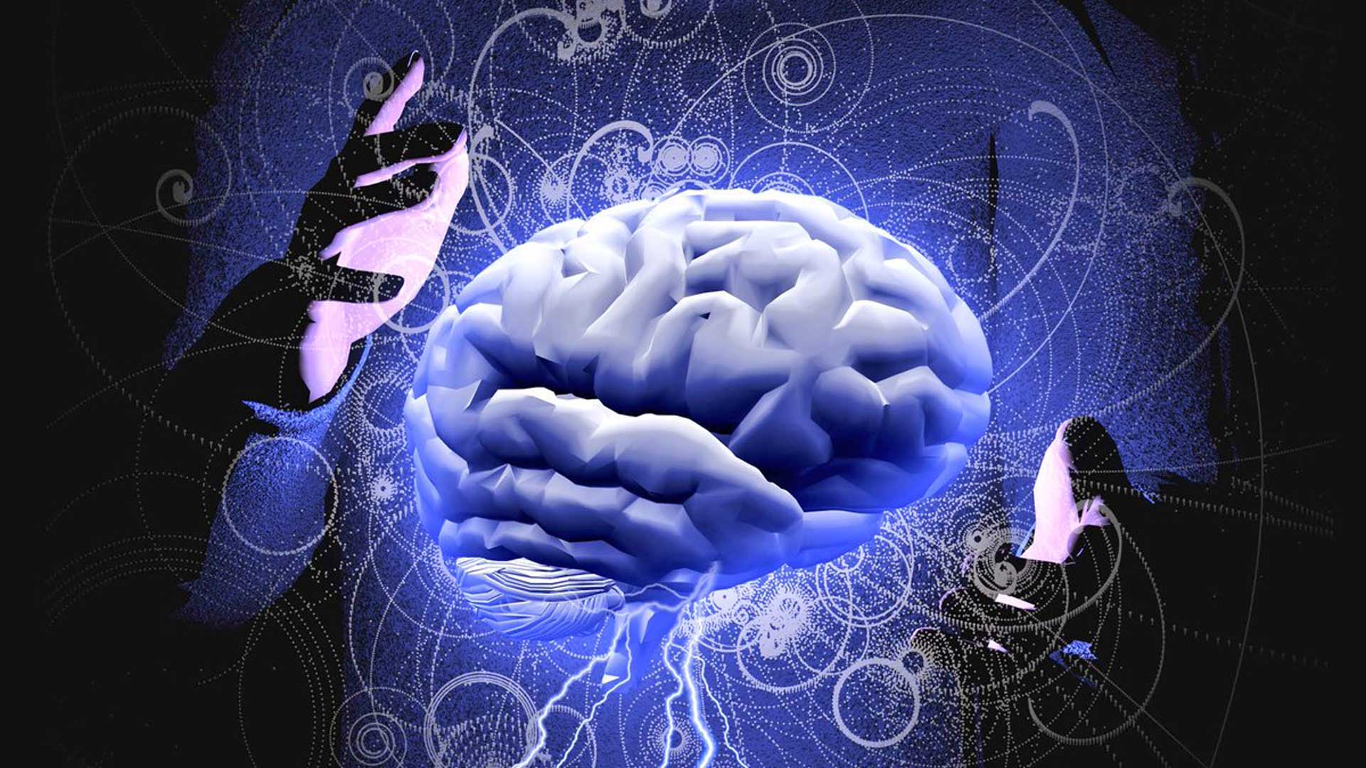 Αποκαλυπτική μελέτη για τη δραστηριότητα του εγκεφάλου