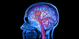 Η δομή του εγκεφάλου μπορεί να διαδραματίσει βασικό ρόλο στην ψύχωση