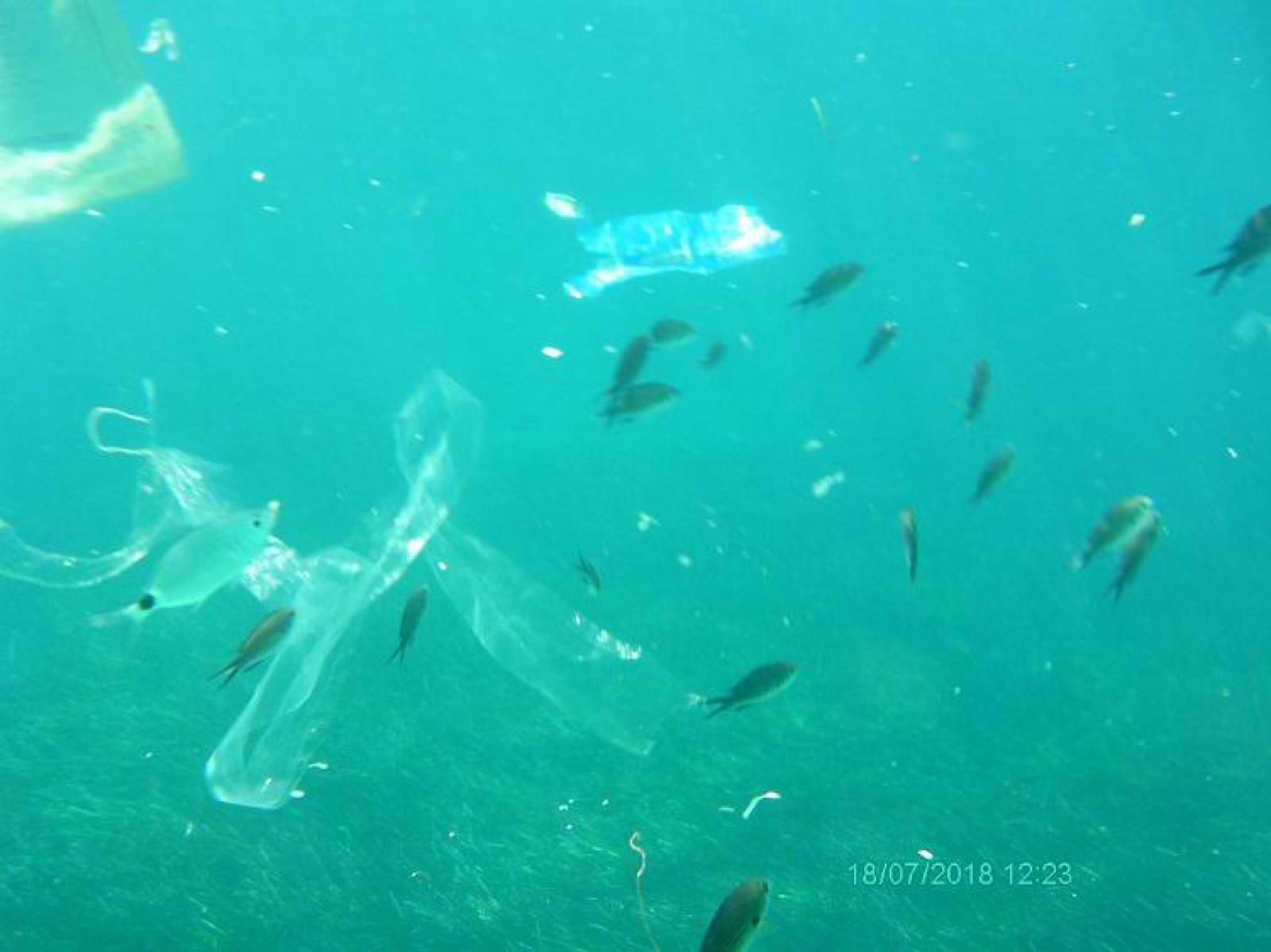 Πλωτός κάδος ρουφά πλαστικά από τη θάλασσα