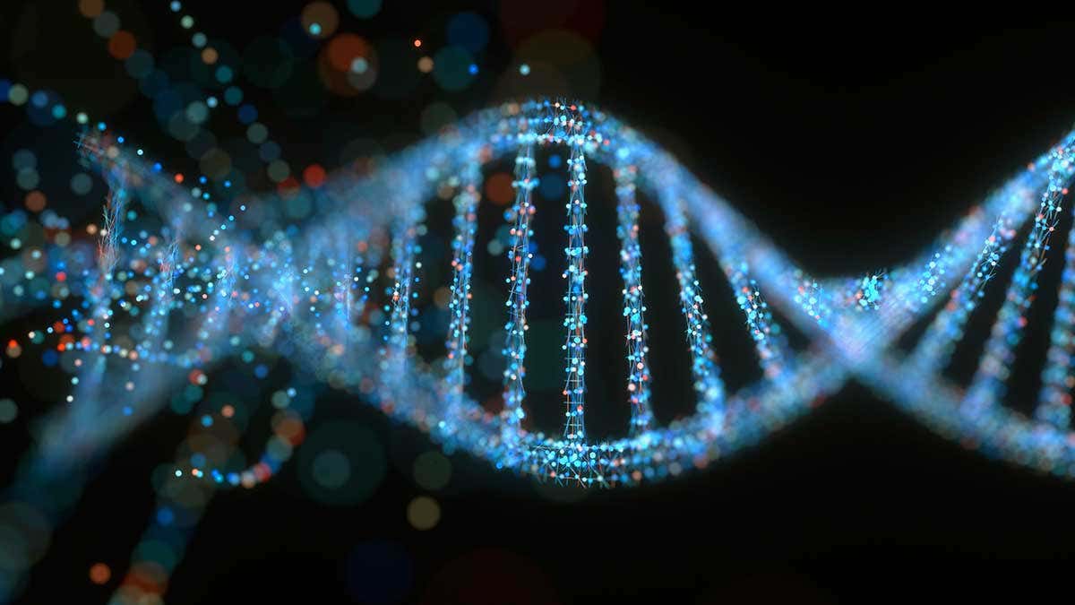 Μελέτη φωτίζει τα πιο σκοτεινά μέρη της γενετικής μας κληρονομιάς
