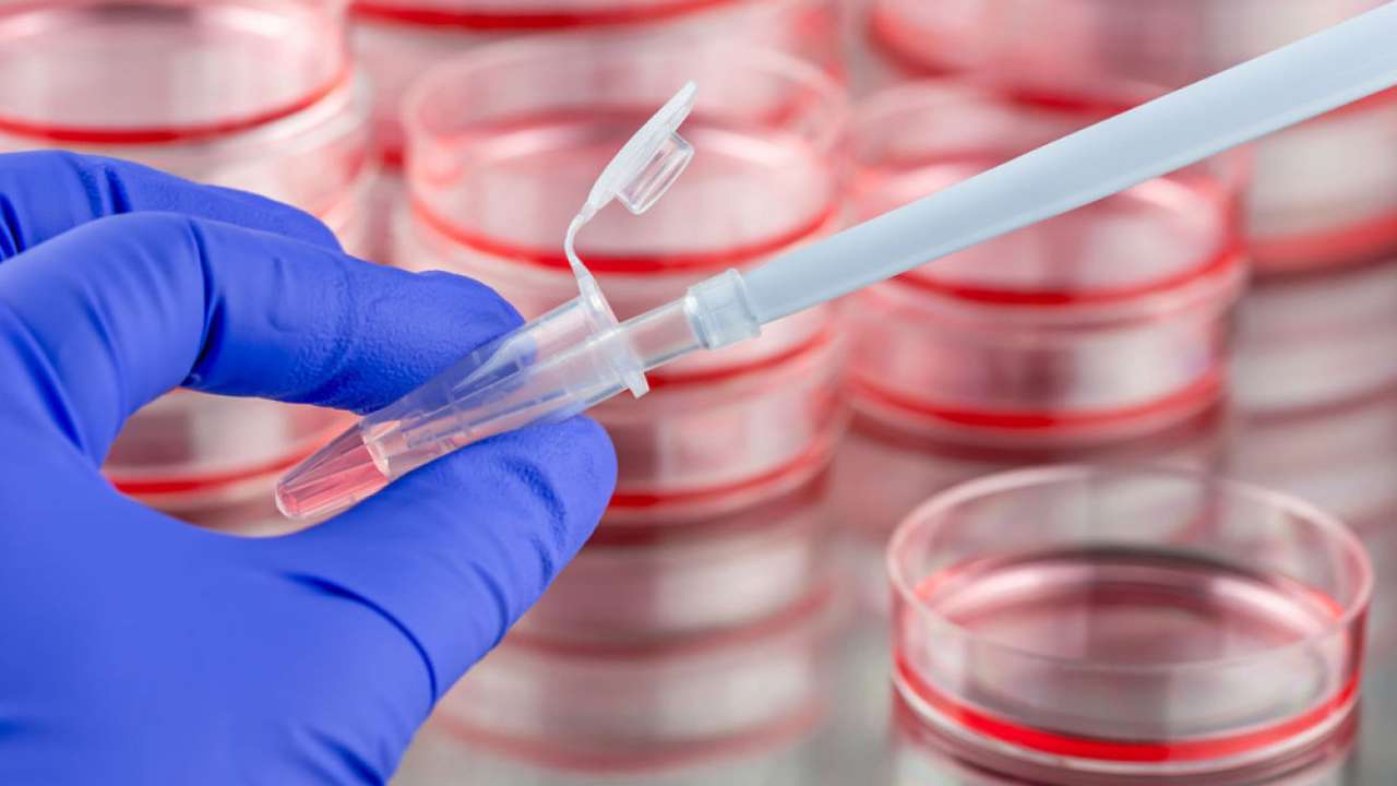 Επιστήμονες κοντά σε ανάπτυξη εμβολίου για τη γονόρροια