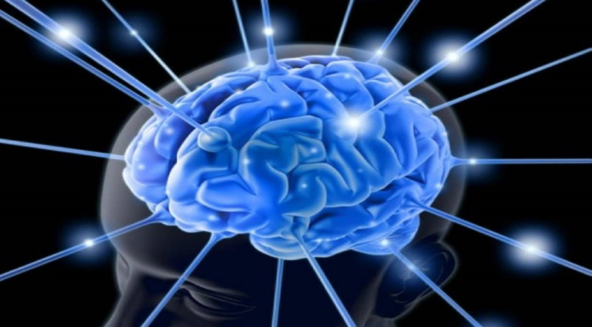 Εγκέφαλος: Μελέτη ανακαλύπτει τη γονιδιακή σύνδεση που υπάρχει στη λειτουργία του