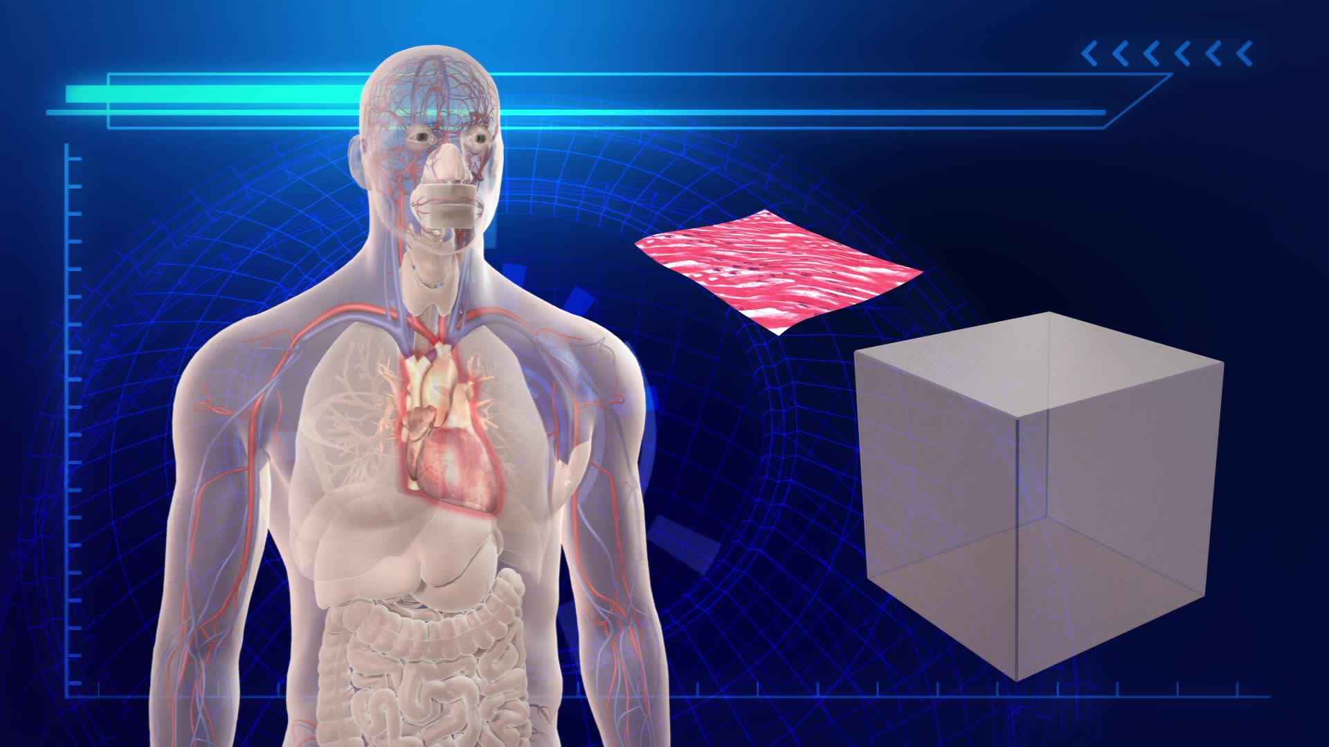 Σωτήρια λύση για τις μεταμοσχεύσεις δίνουν τα 3D τυπωμένα όργανα