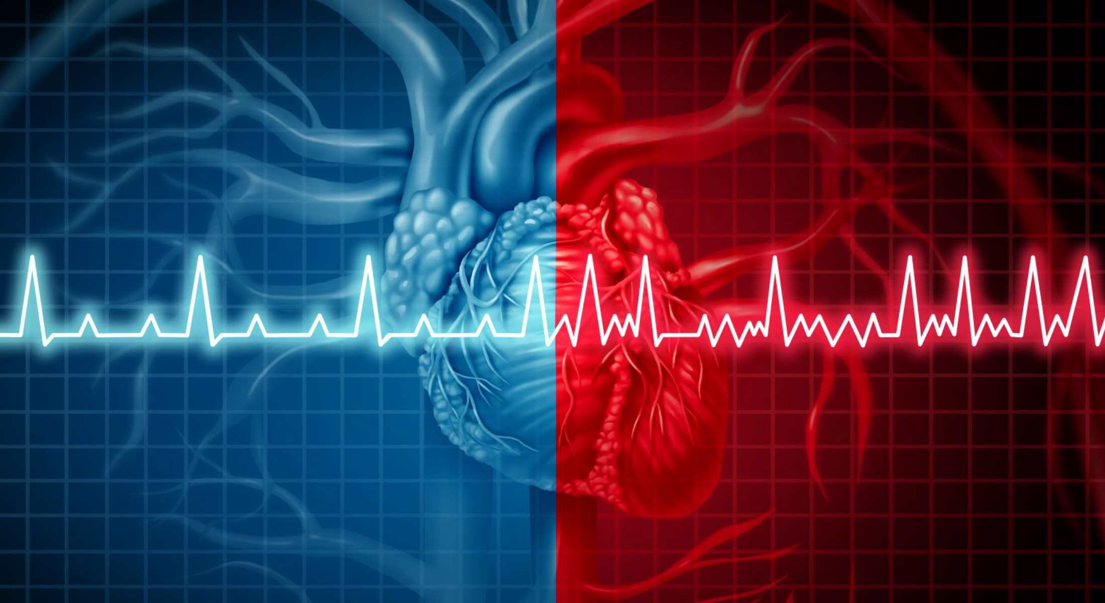 Σύστημα τεχνητής νοημοσύνης ανιχνεύει τα καρδιαγγειακά νοσήματα