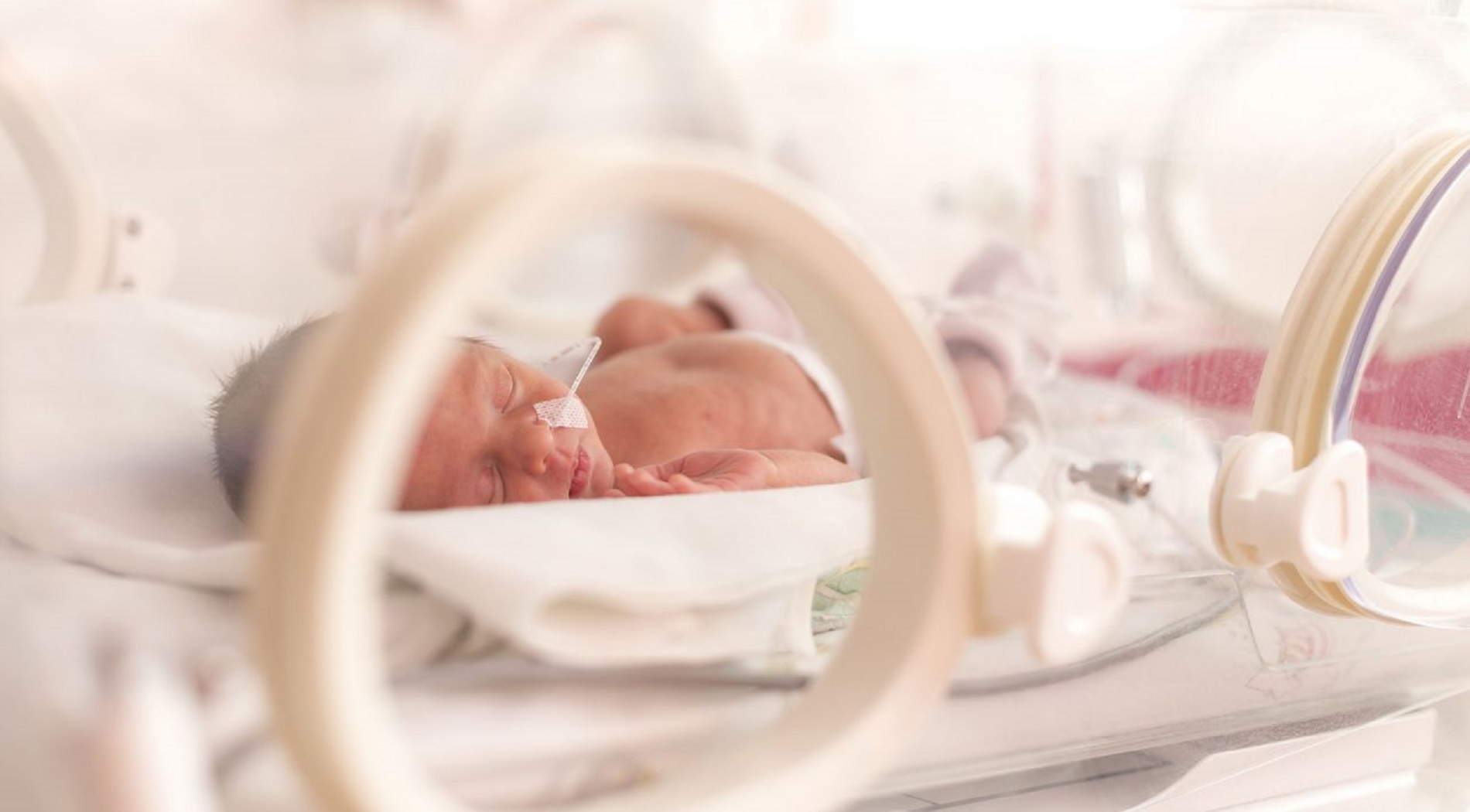 «Διακόπτης ελέγχου» αποτρέπει τον εγκεφαλικό τραυματισμό σε πρόωρα μωρά