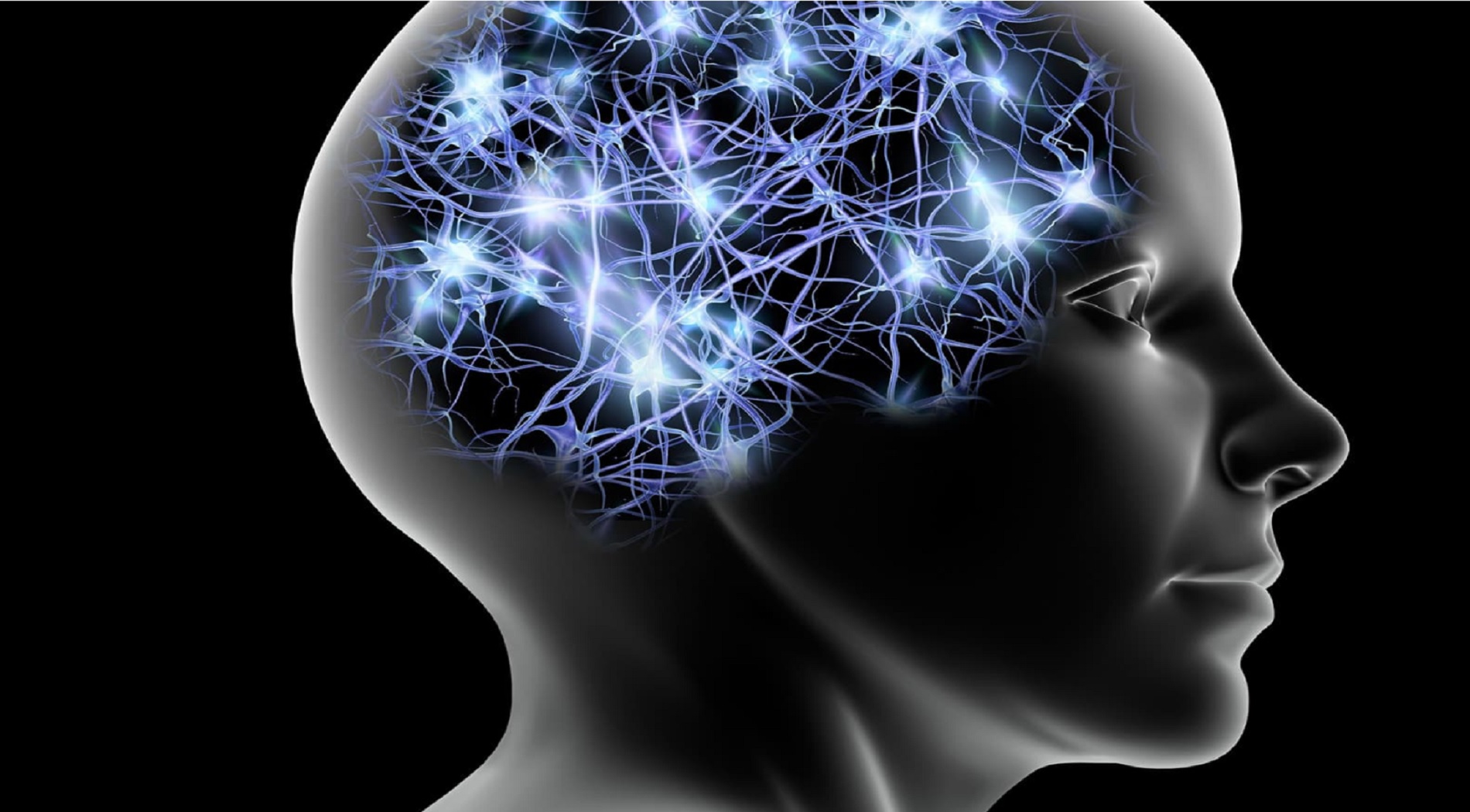 Νέα μελέτη βελτιώνει την κατανόηση της λειτουργίας του εγκεφάλου
