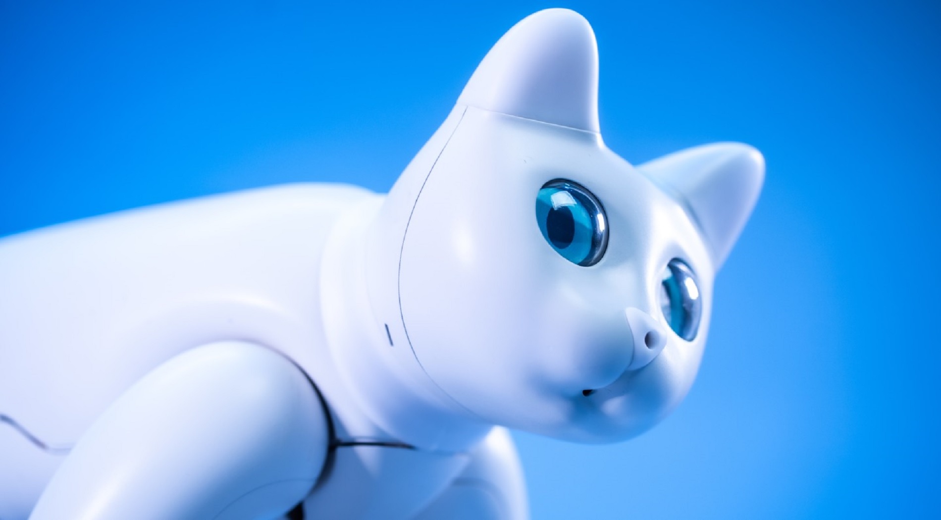 Δημιουργήθηκε η πρώτη αυτόνομη γάτα – ρομπότ