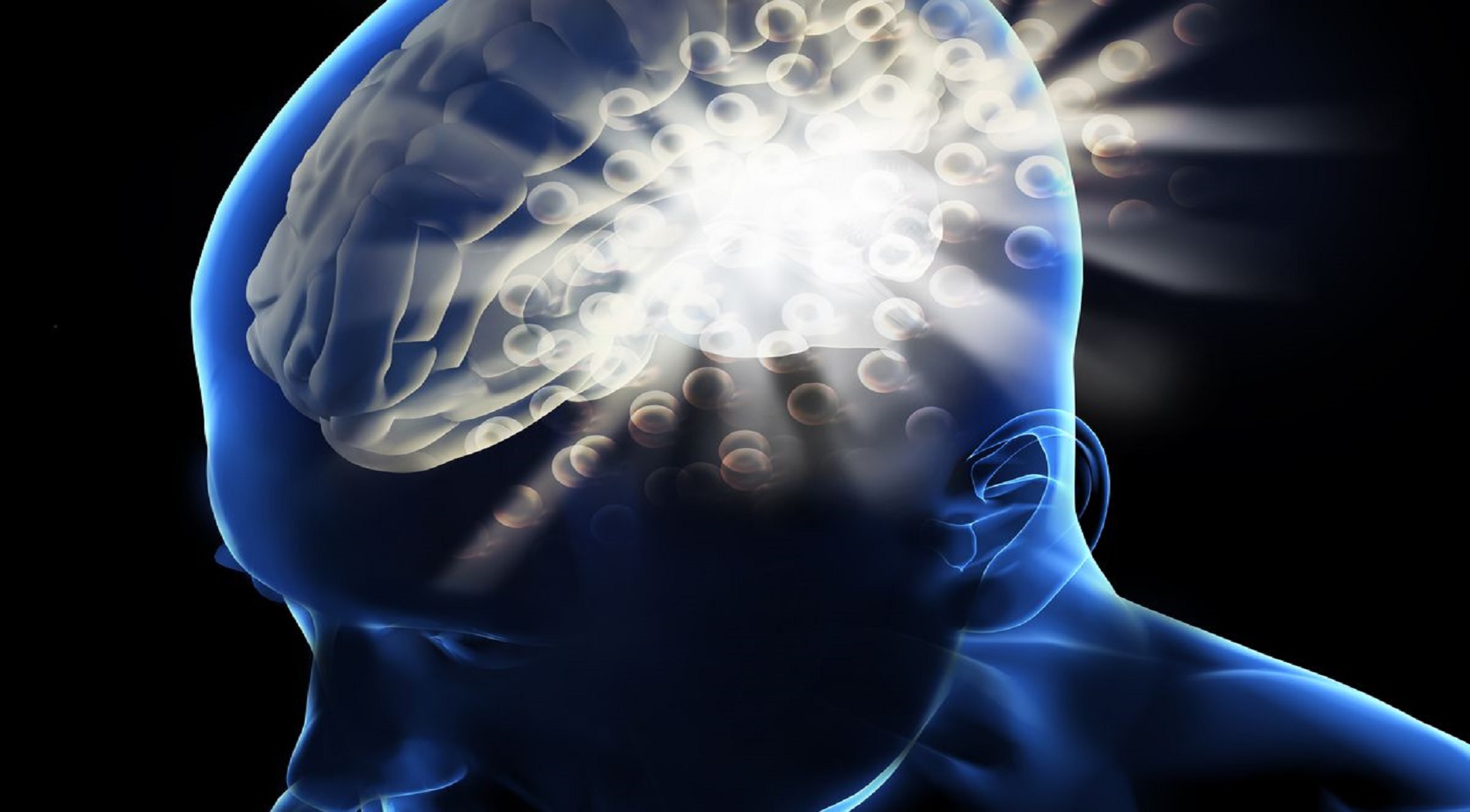 Νέα επιστημονικά δεδομένα για τη λειτουργία του εγκεφάλου