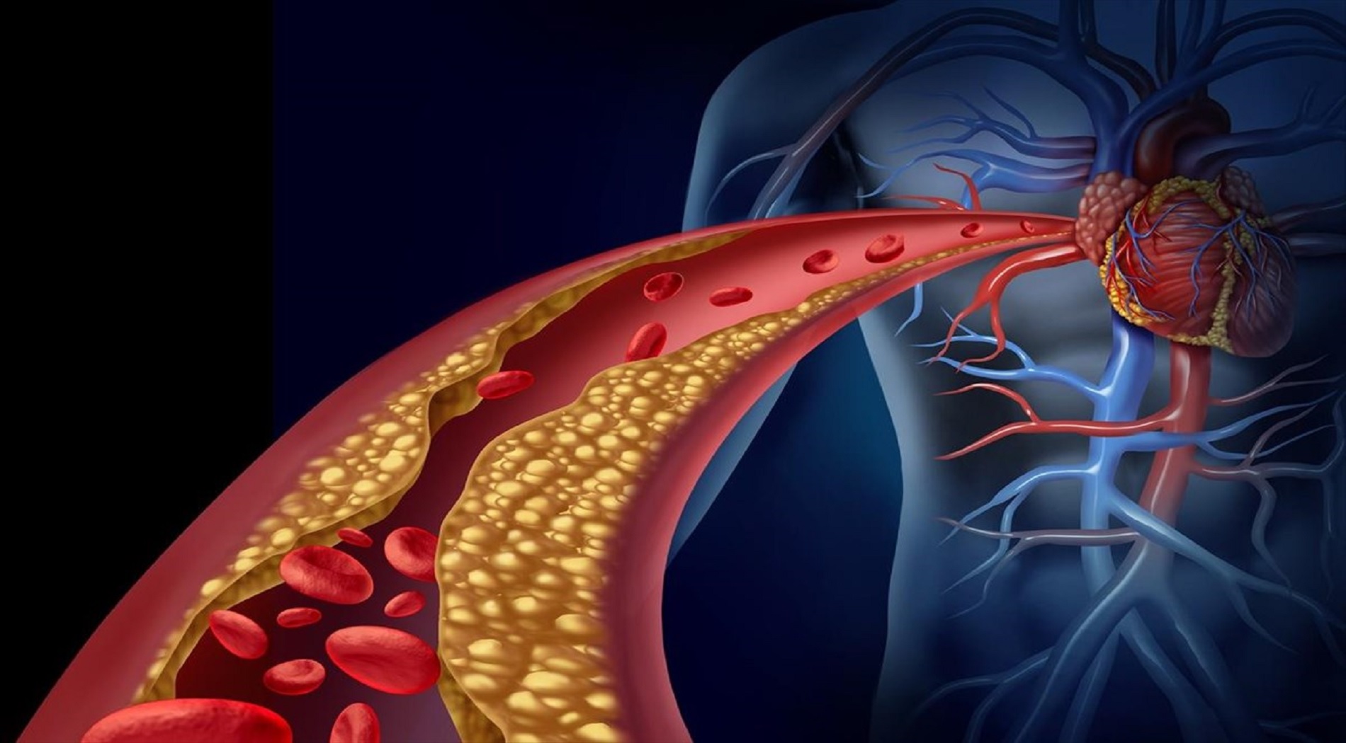 Νέα έρευνα συσχετίζει τη στοματική υγεία με τις καρδιαγγειακές νόσους