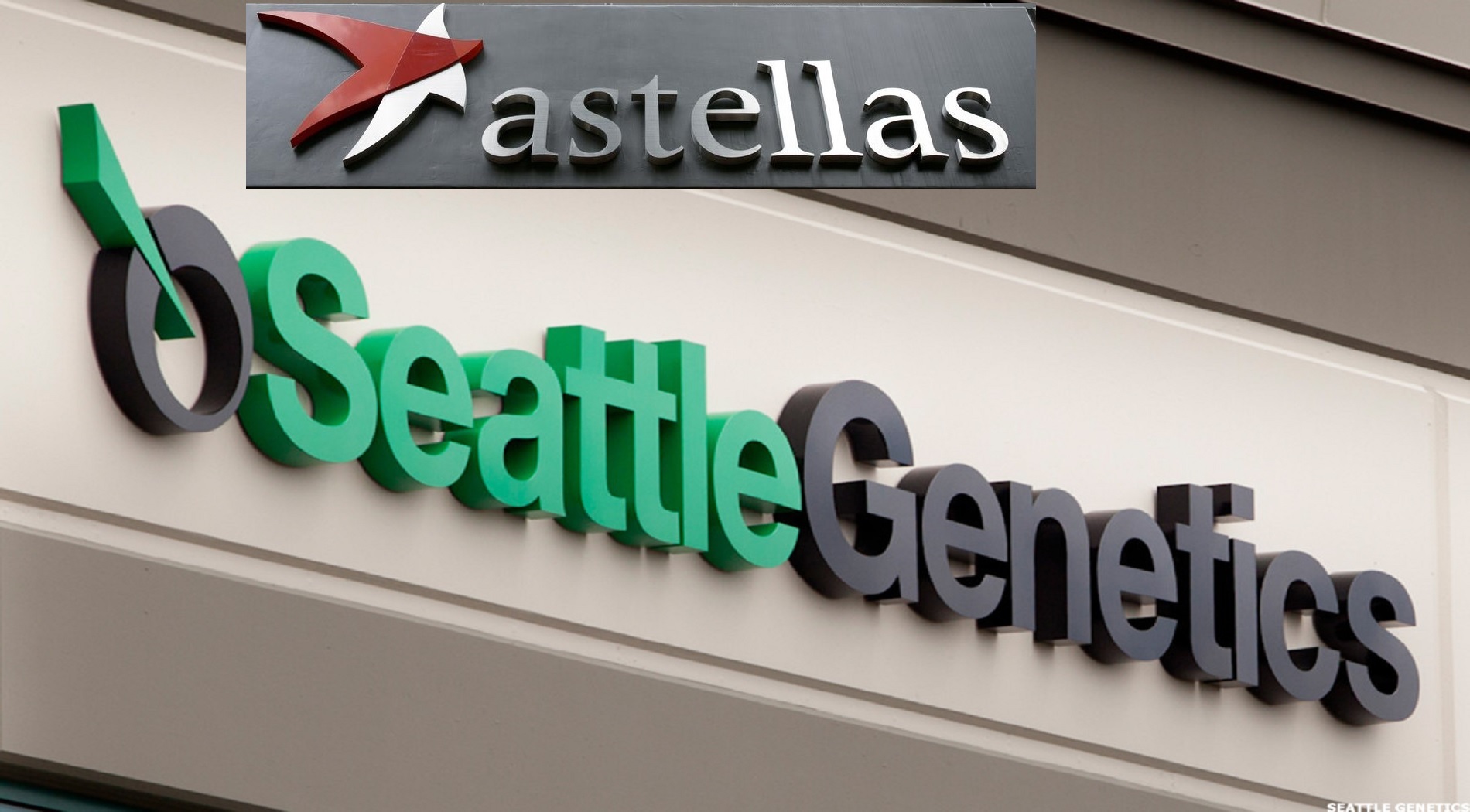 Astellas και Seattle Genetics μοιράζονται τις θετικές ειδήσεις για το Padcev