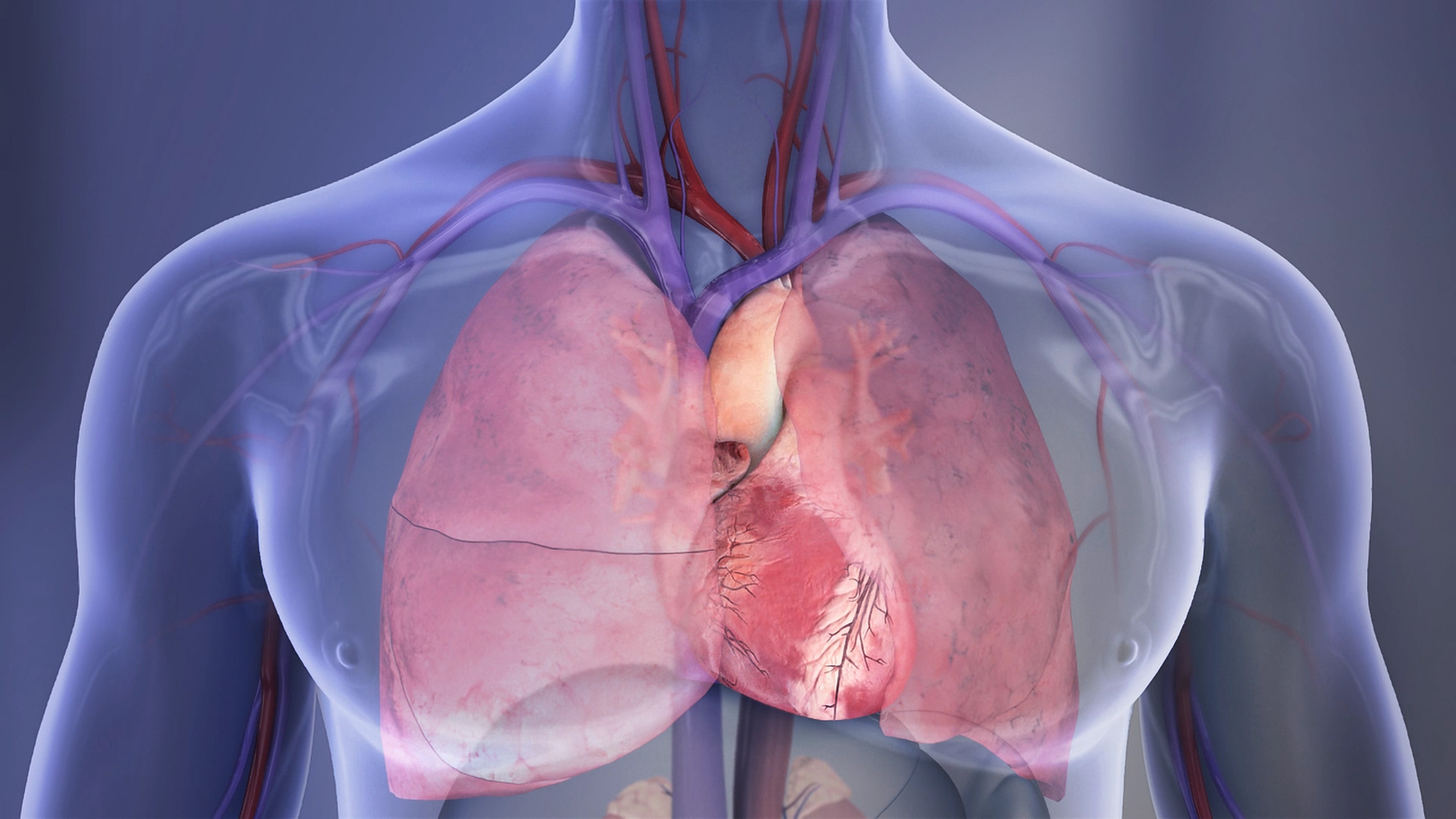 Αμερικανική μελέτη ανιχνεύει ποια αμινοξέα κρύβονται πίσω από τις καρδιοπάθειες