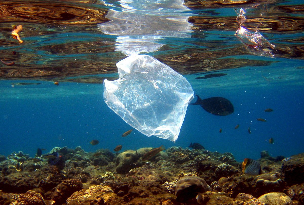 ‘Ψευδολύσεις’ για την πλαστική ρύπανση και την προστασία του περιβάλλοντος