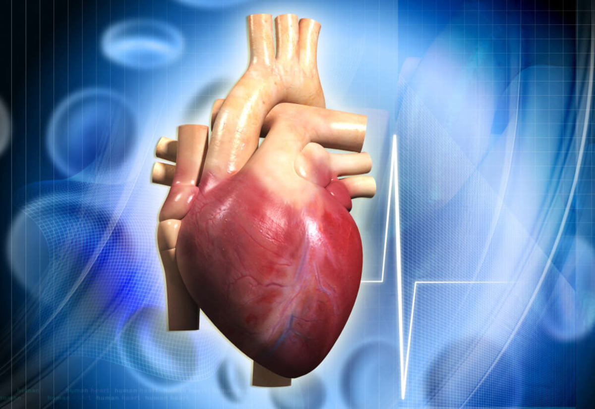 Συστάσεις για τον έλεγχο της καρδιακής υγείας από Αμερικανούς Επιστήμονες