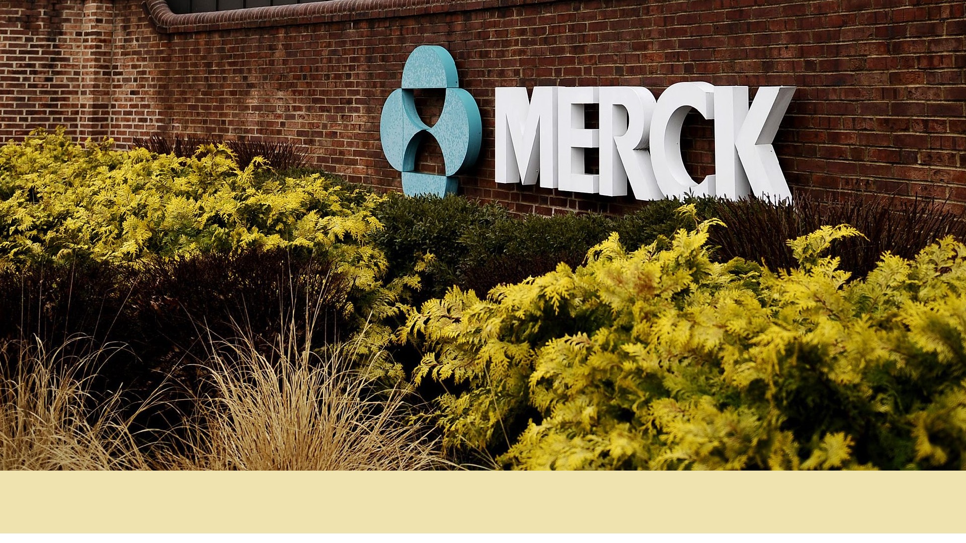Τα ‘όπλα’ της Merck για να αντιμετωπίσει τις επιπτώσεις από την πανδημία