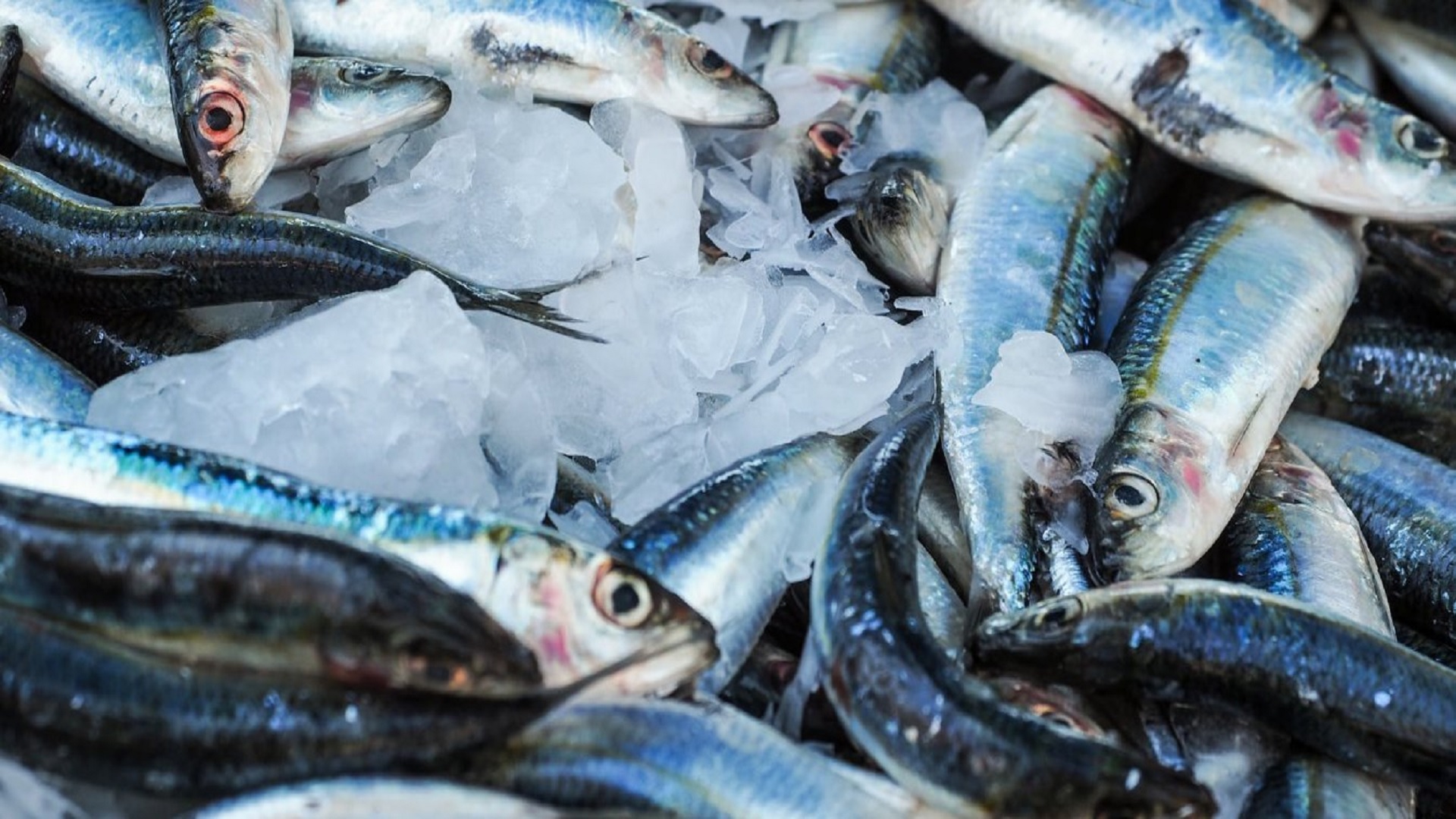 Κάθε πότε και γιατί θα πρέπει να καταναλώνουμε ψάρι