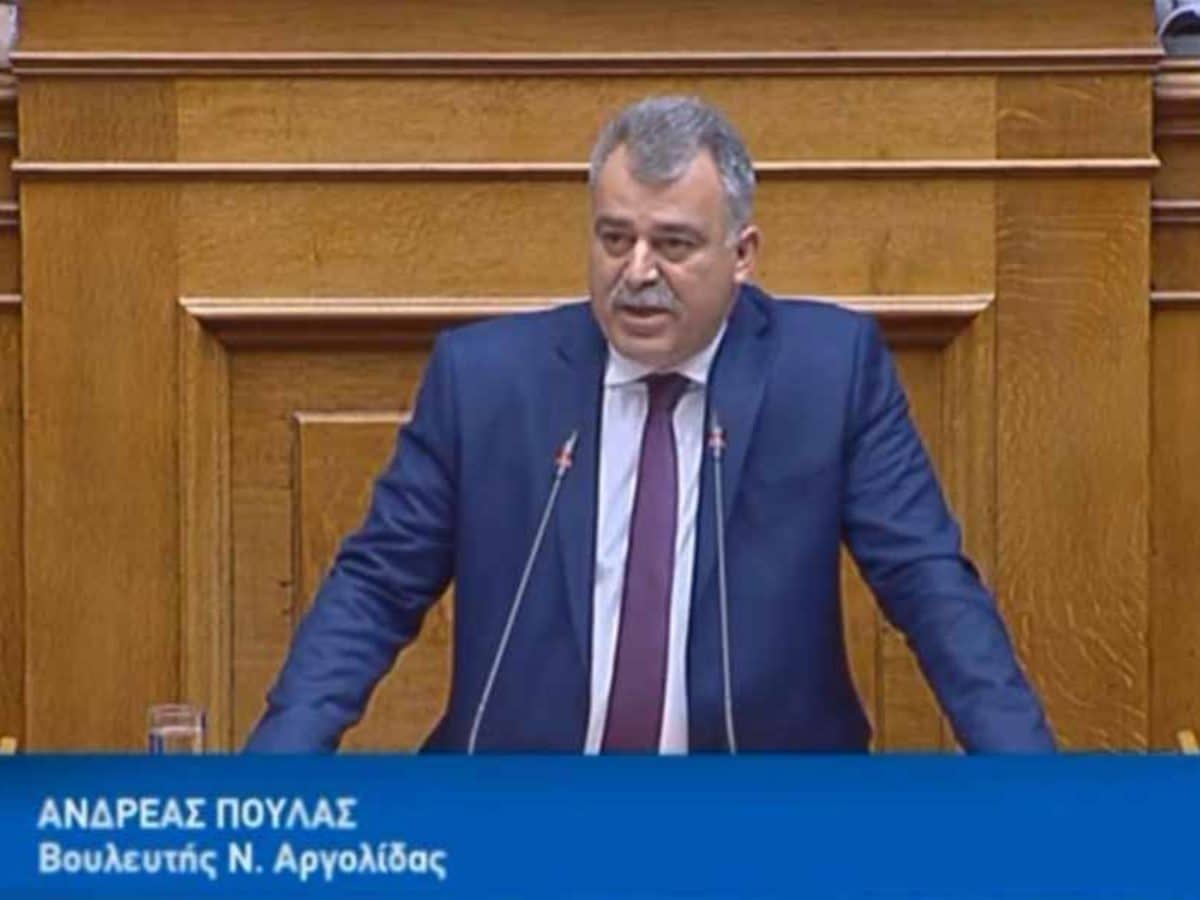 Ανδρέας Πουλάς: Γιατί καταψήφισε το ΚΙΝΑΛ το νομοσχέδιο του ΟΔΙΠΥ