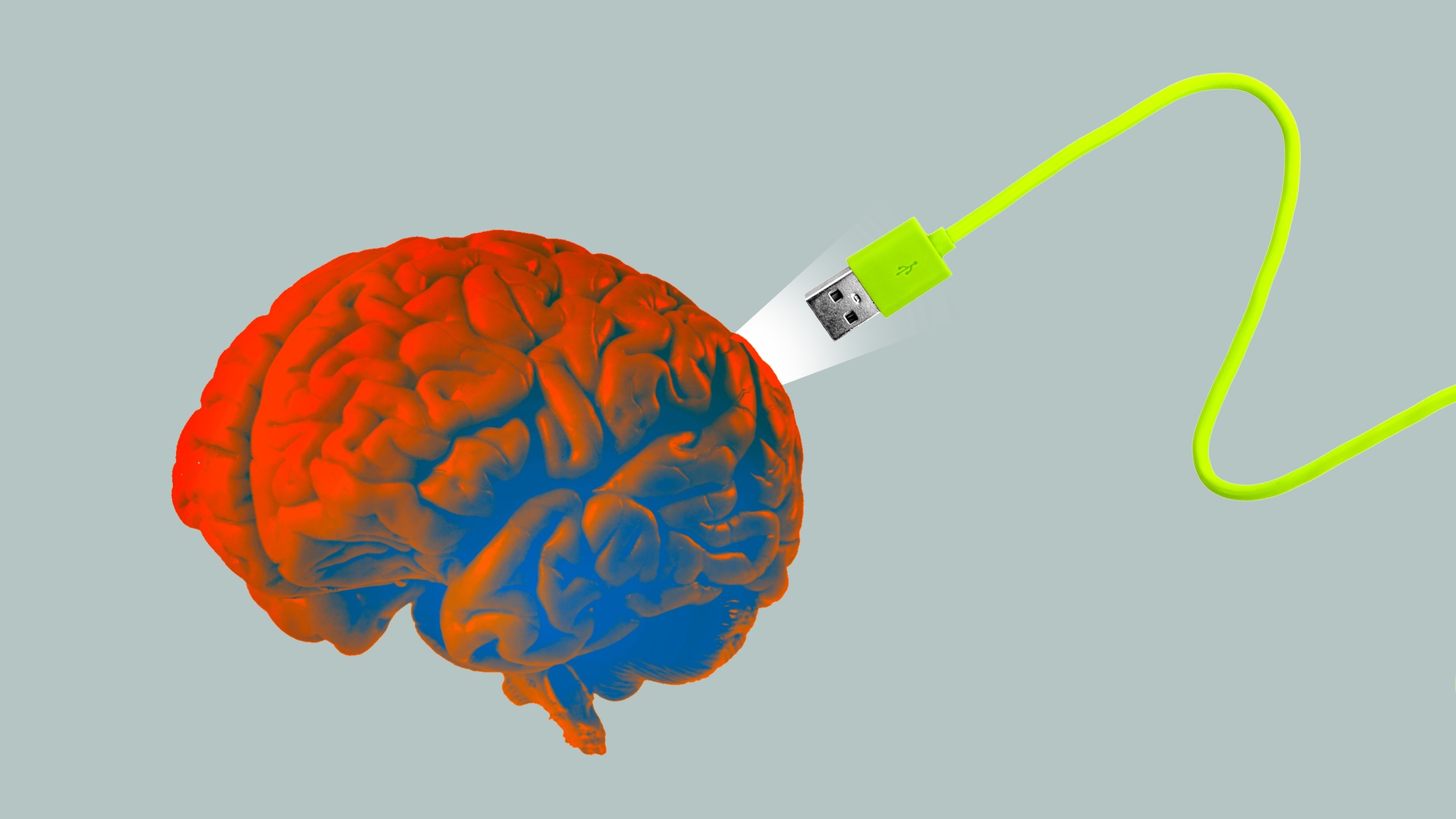 Η εξέλιξη του εγκεφάλου ‘συνδεδεμένη’ με την τεχνολογία
