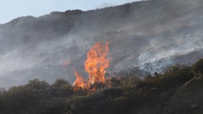 Σοφικό Κορινθίας φωτιά: Εκκενώνονται προληπτικά 3 οικισμοί – ισχυροί άνεμοι [pic,vid]