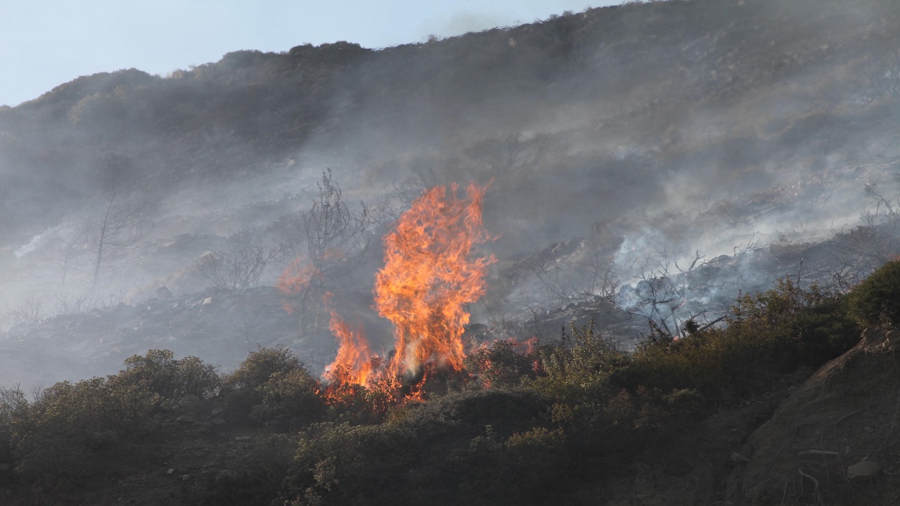 Φωτιά ΤΩΡΑ σε Κερατέα – Νέα Μάκρη: Ισχυρές δυνάμεις της πυροσβεστικής στα σημεία [vid]