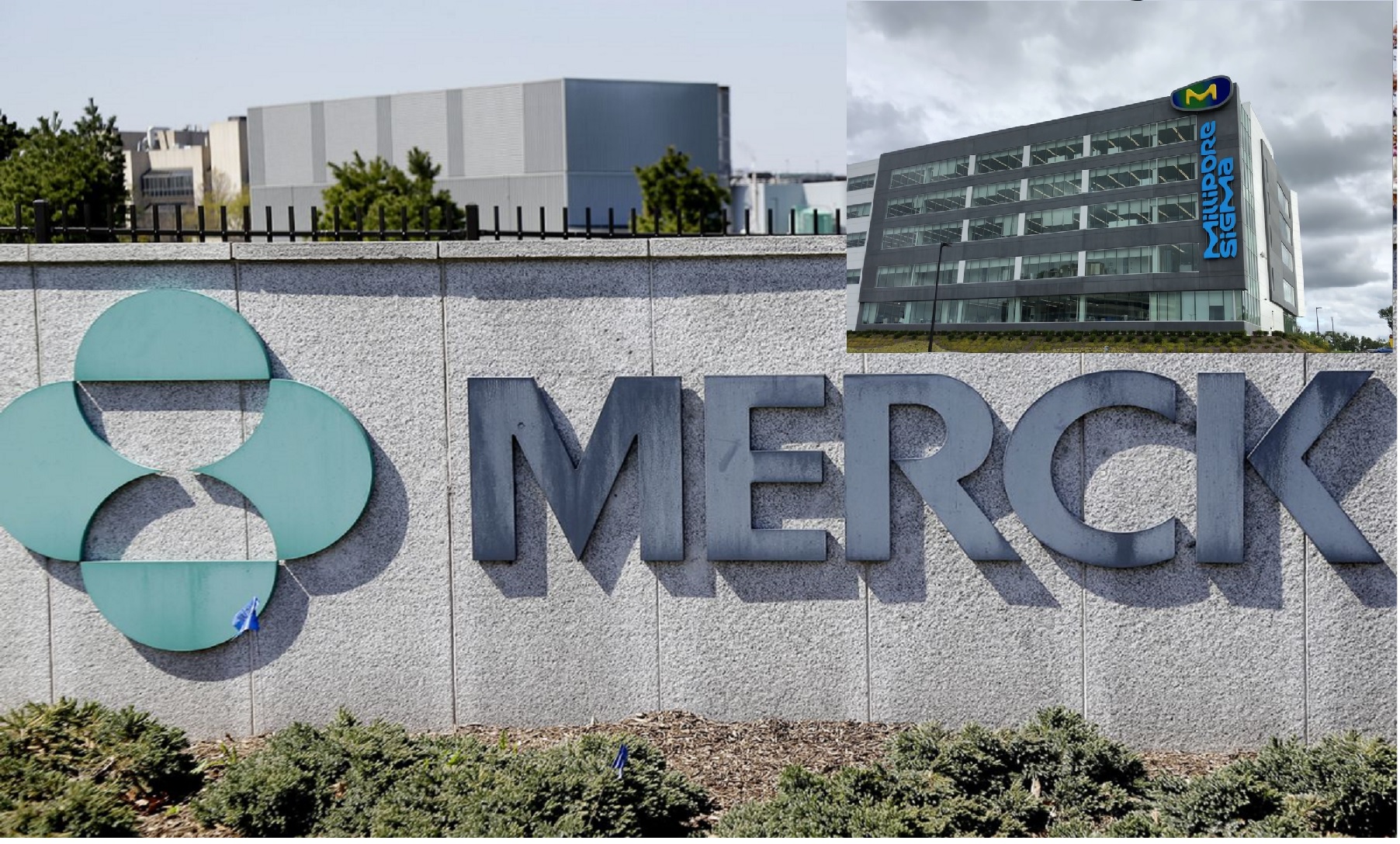 Ογκολογικά φάρμακα νέας γενιάς: Η MilliporeSigma της Merck KGaA επενδύει σε νέα εγκατάσταση